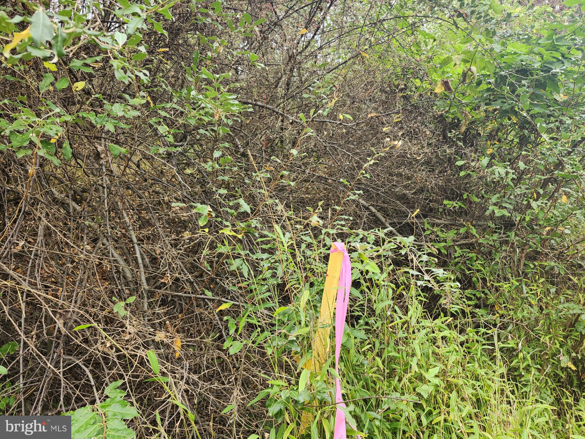 LOST MOUNTAIN - Land