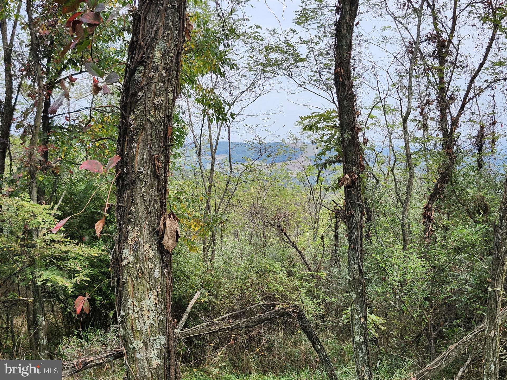 LOST MOUNTAIN - Land