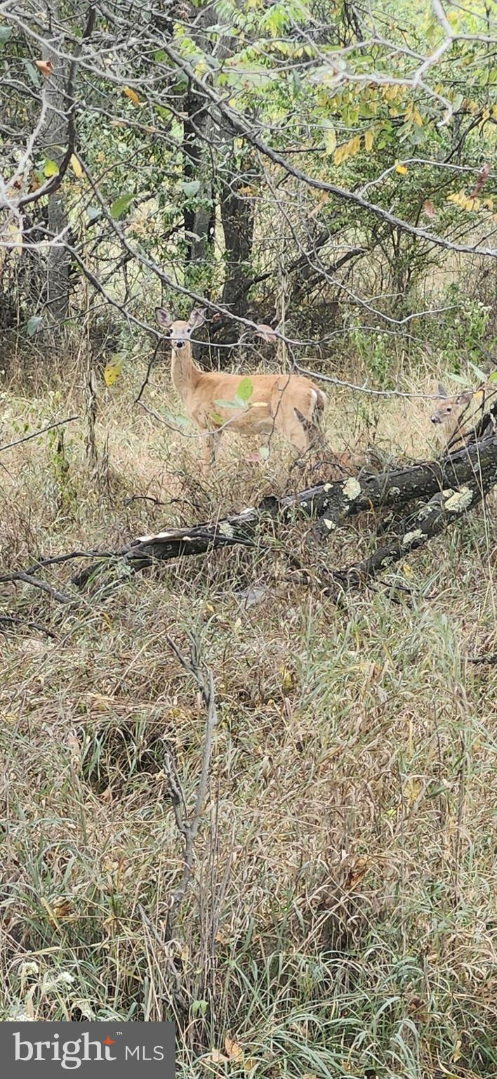LOST MOUNTAIN - Land