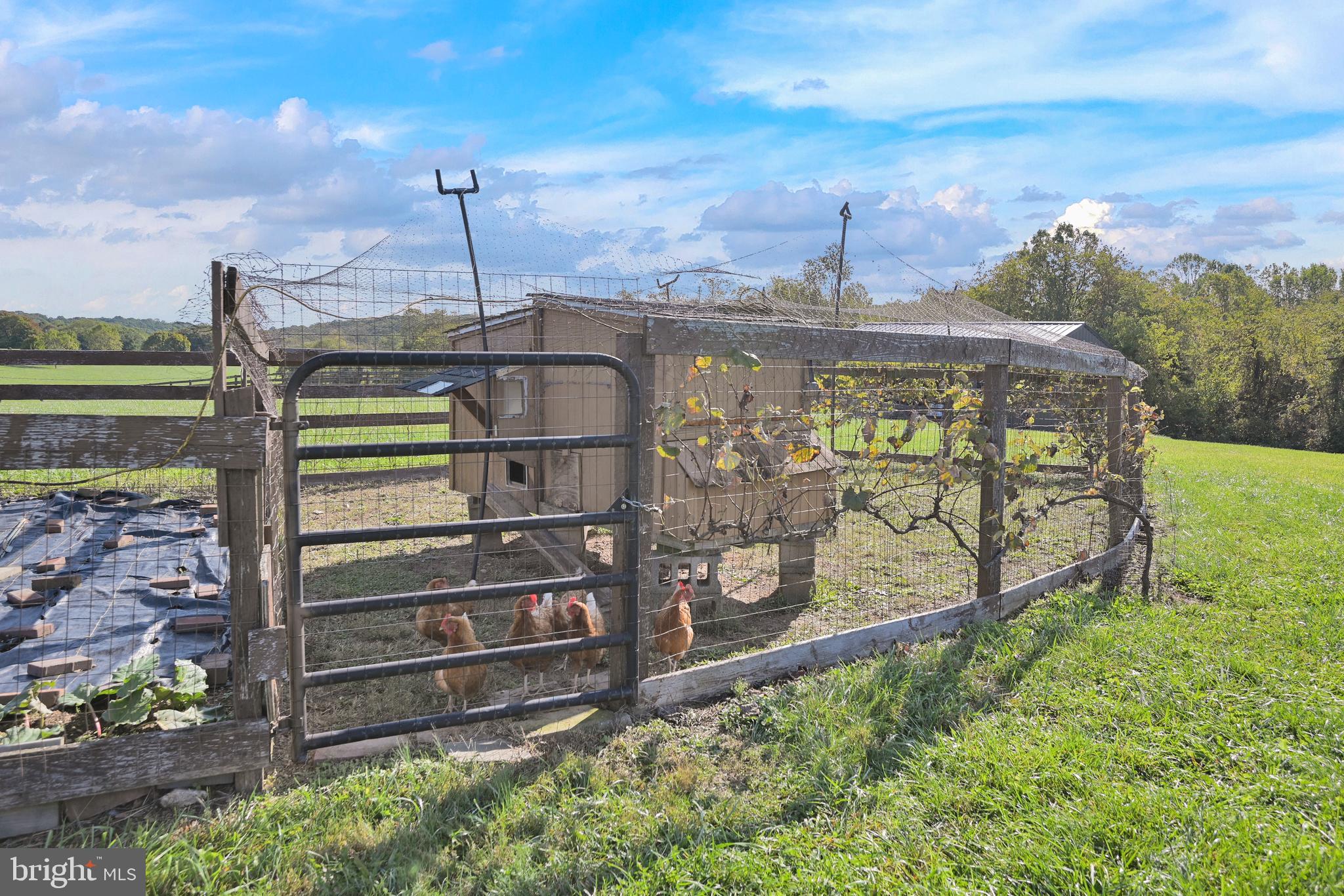 WILMOT MANOR - Residential