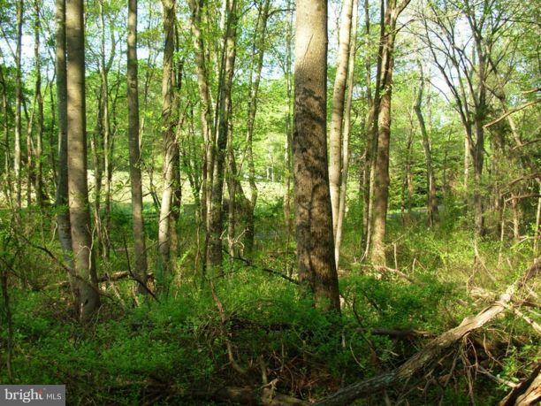 NONE AVAILABLE - Land