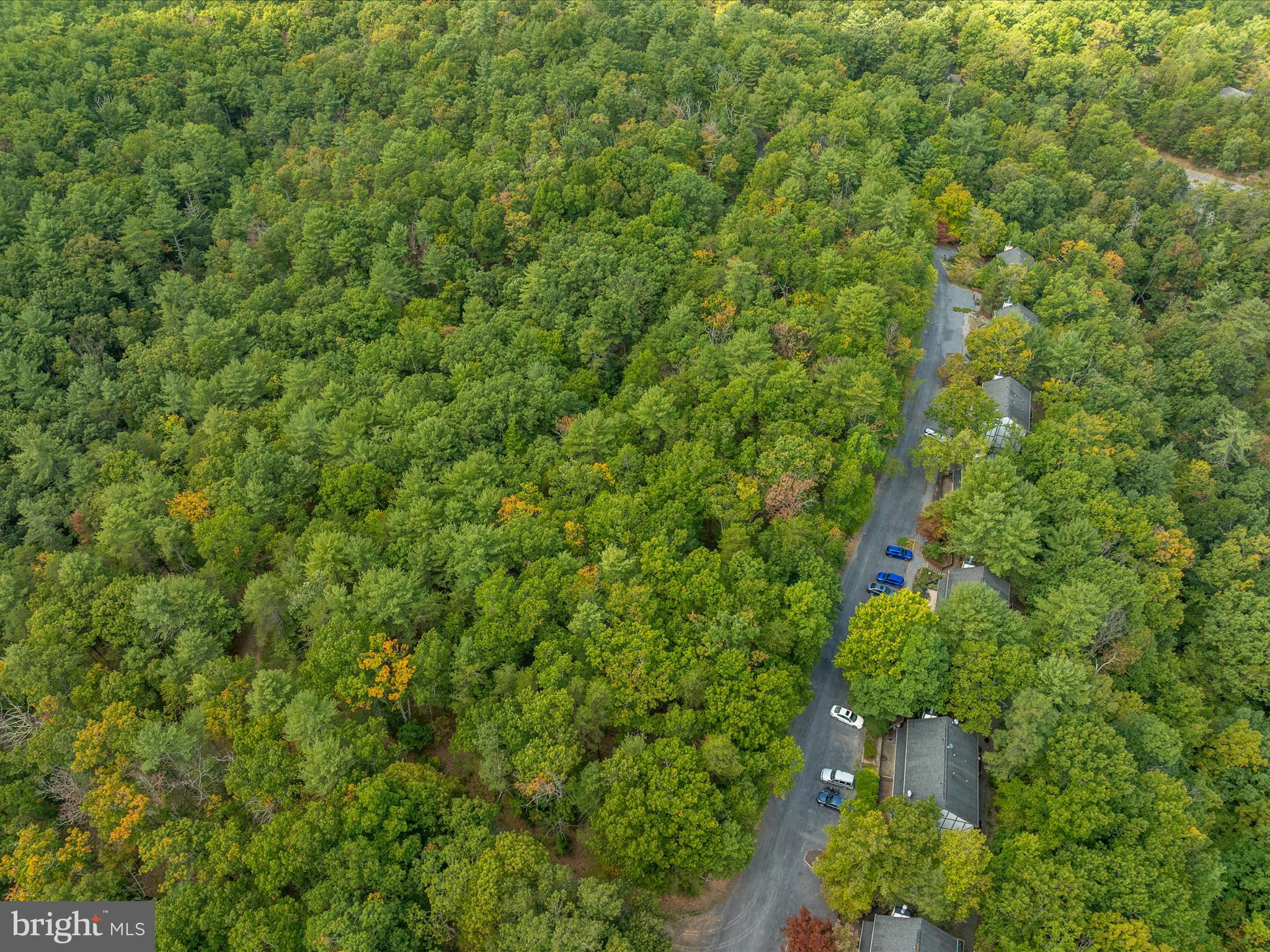 TBD SPITZ LANE