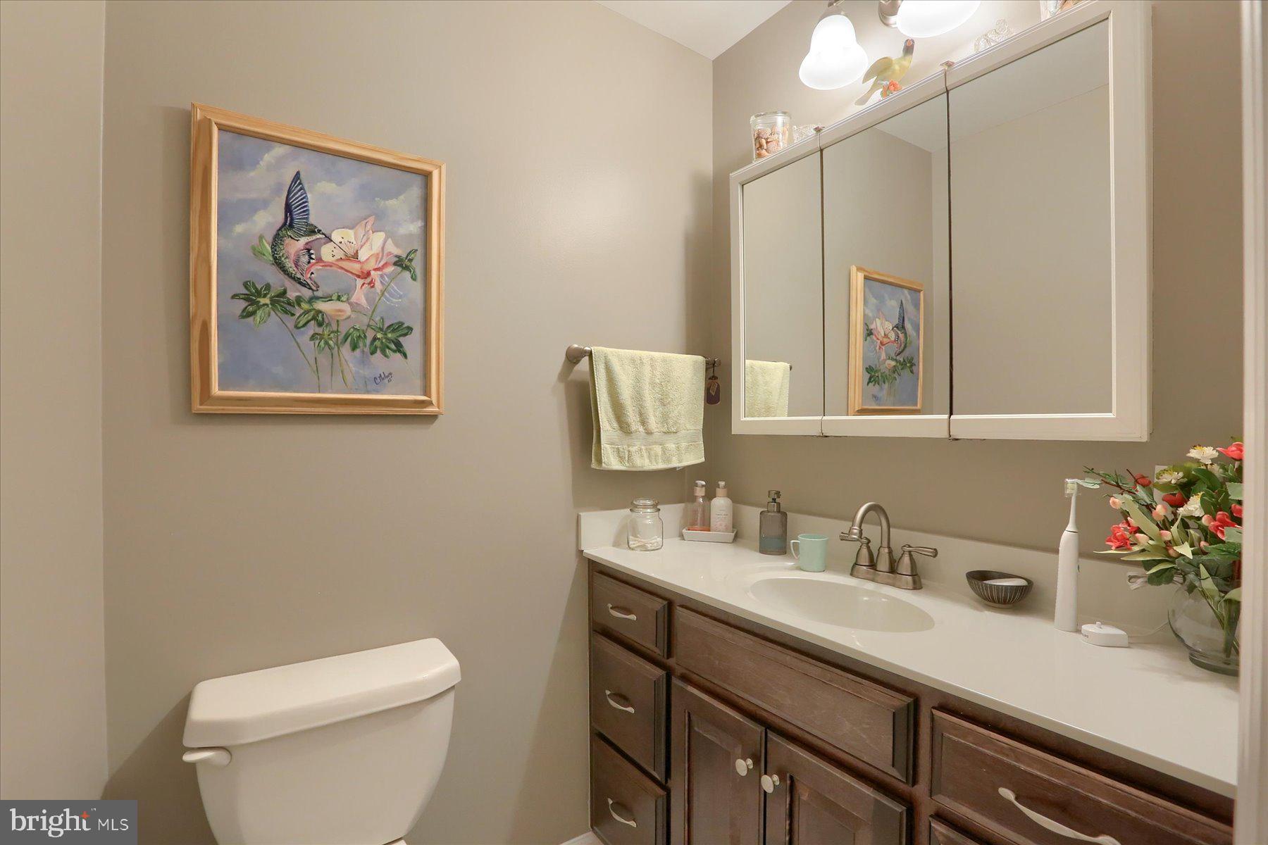 LOWER SWATARA TOWNSHIP - Residential