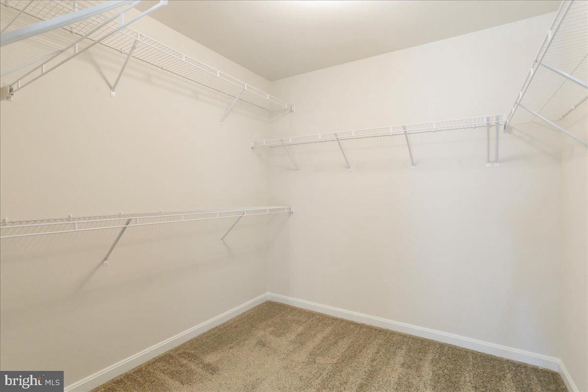 ABRAMS POINTE - Residential