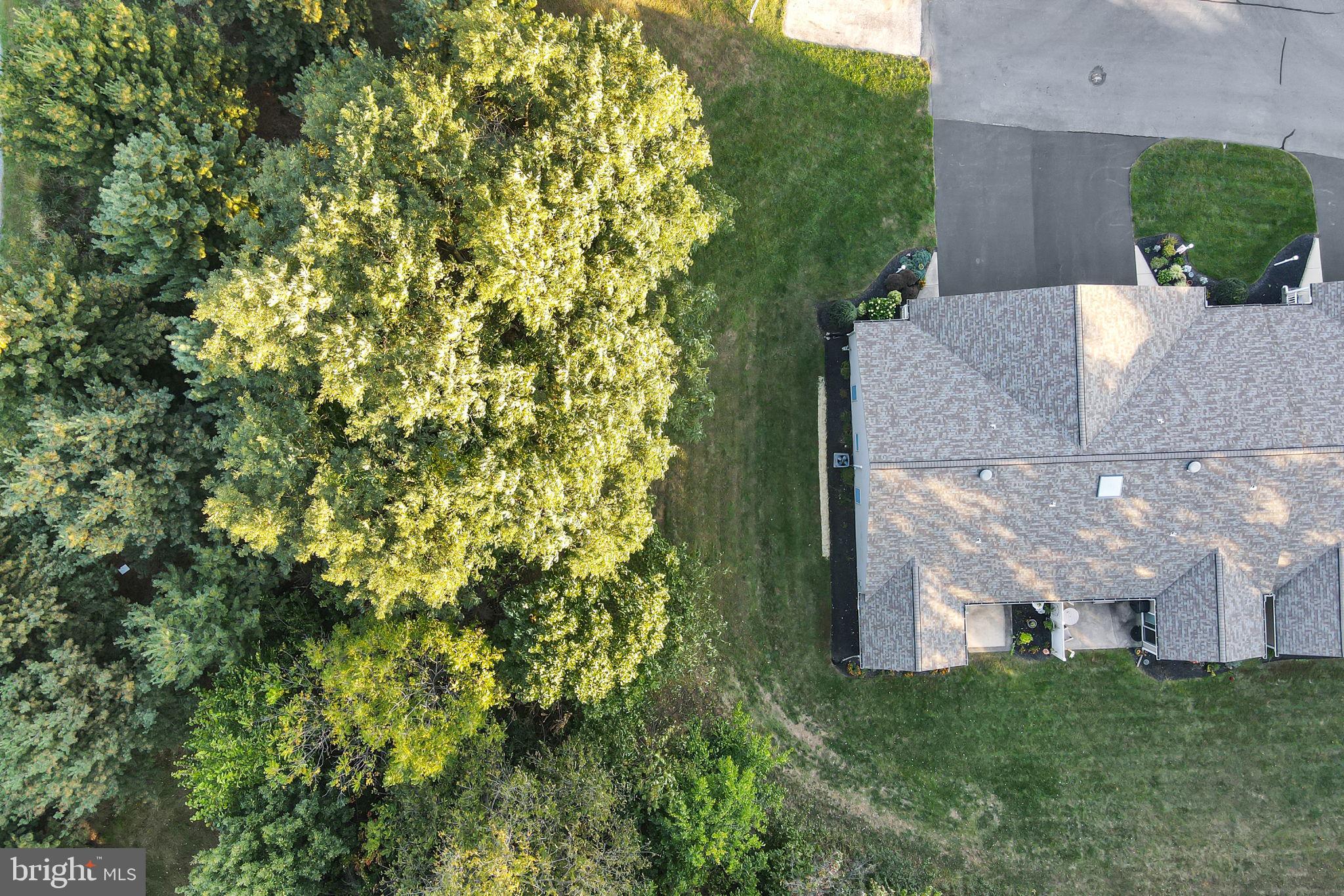 2598 SHAGBARK COURT