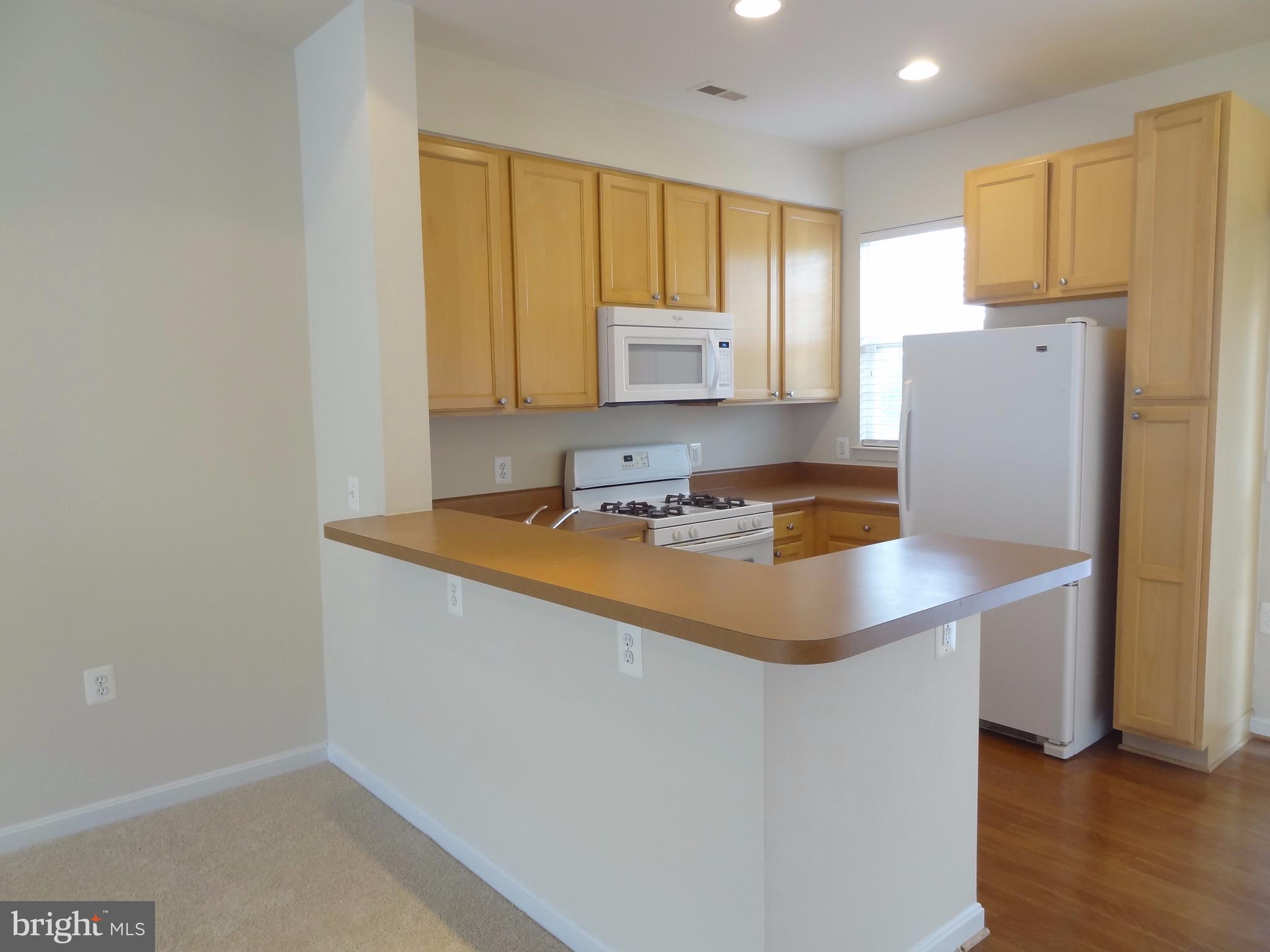 PARKSIDE AT DULLES - Residential