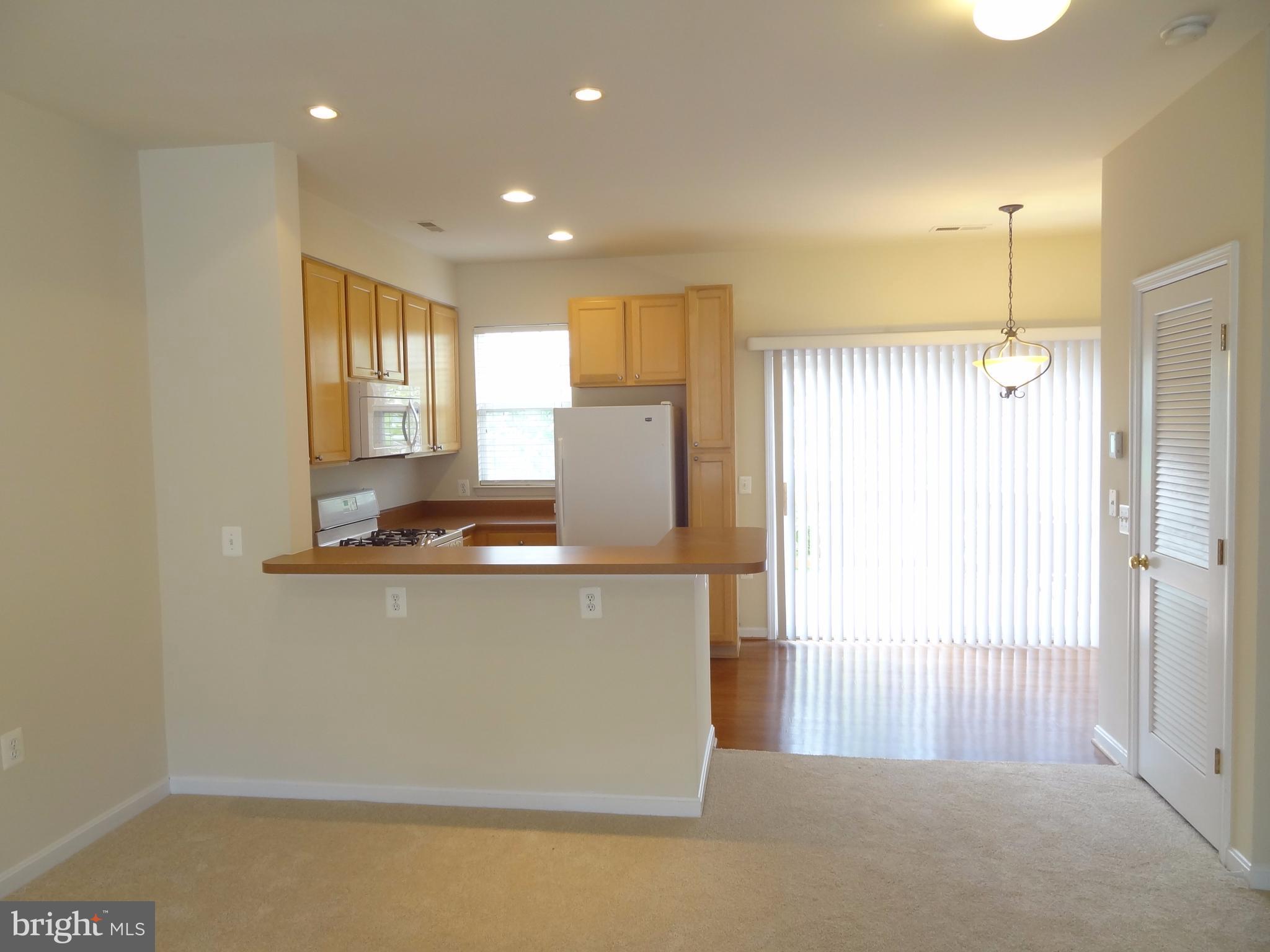 PARKSIDE AT DULLES - Residential