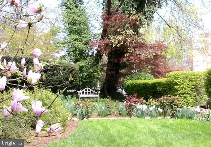 ROLAND PARK - Residential