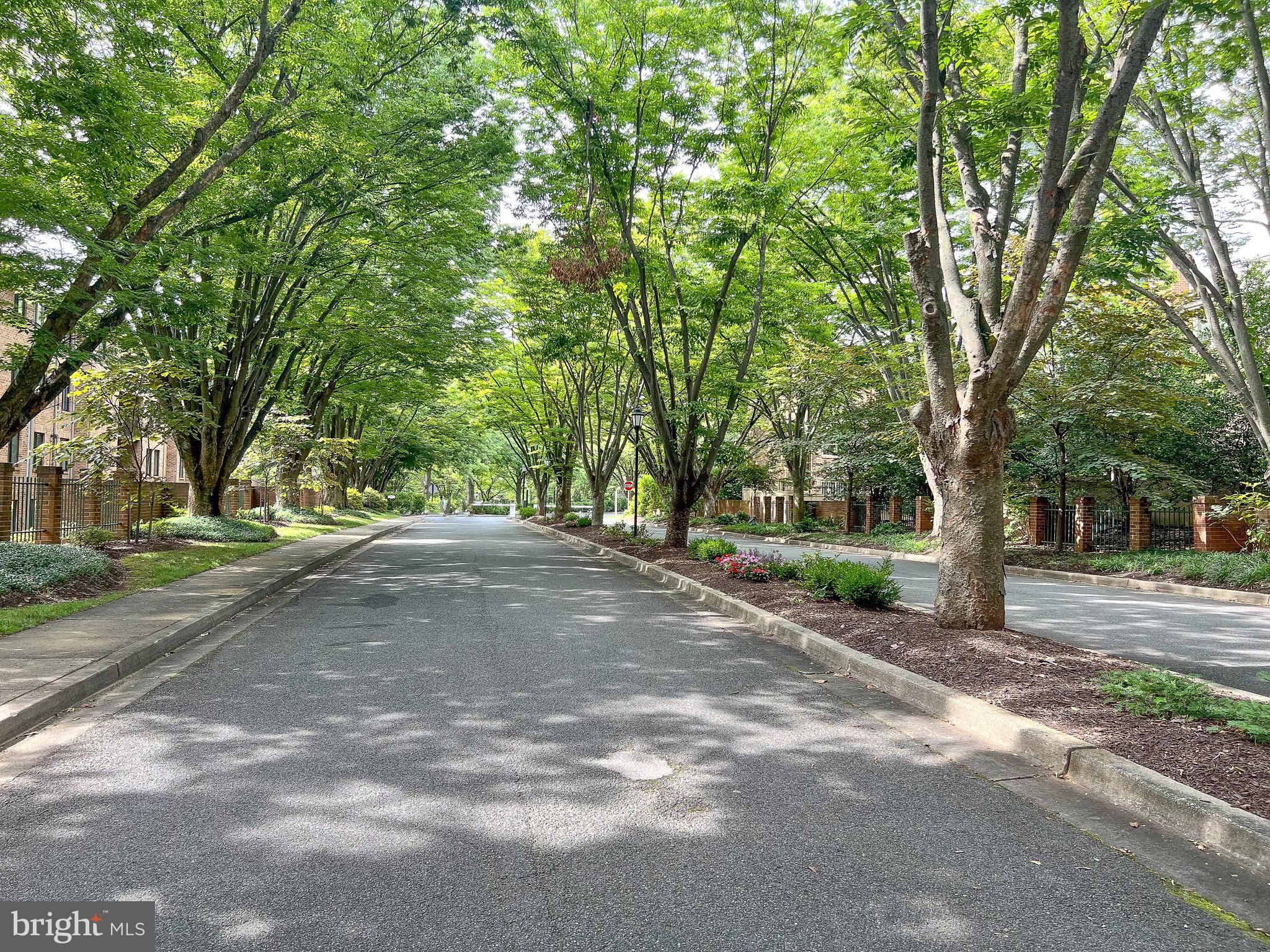 GEORGETOWN VILLAGE - Residential Lease