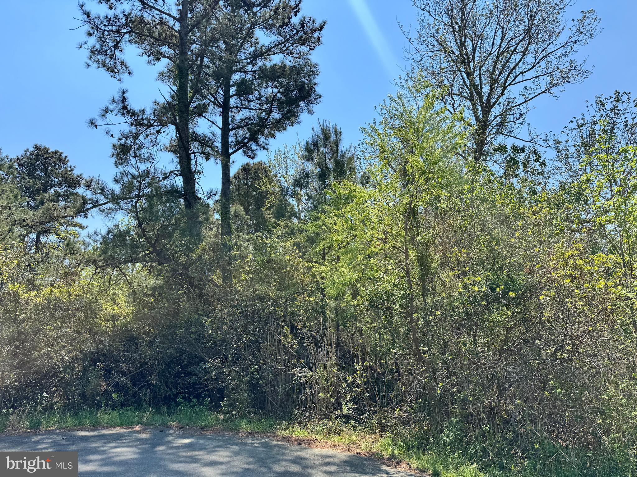 LOT 267 & 268 WILD PONY COURT
