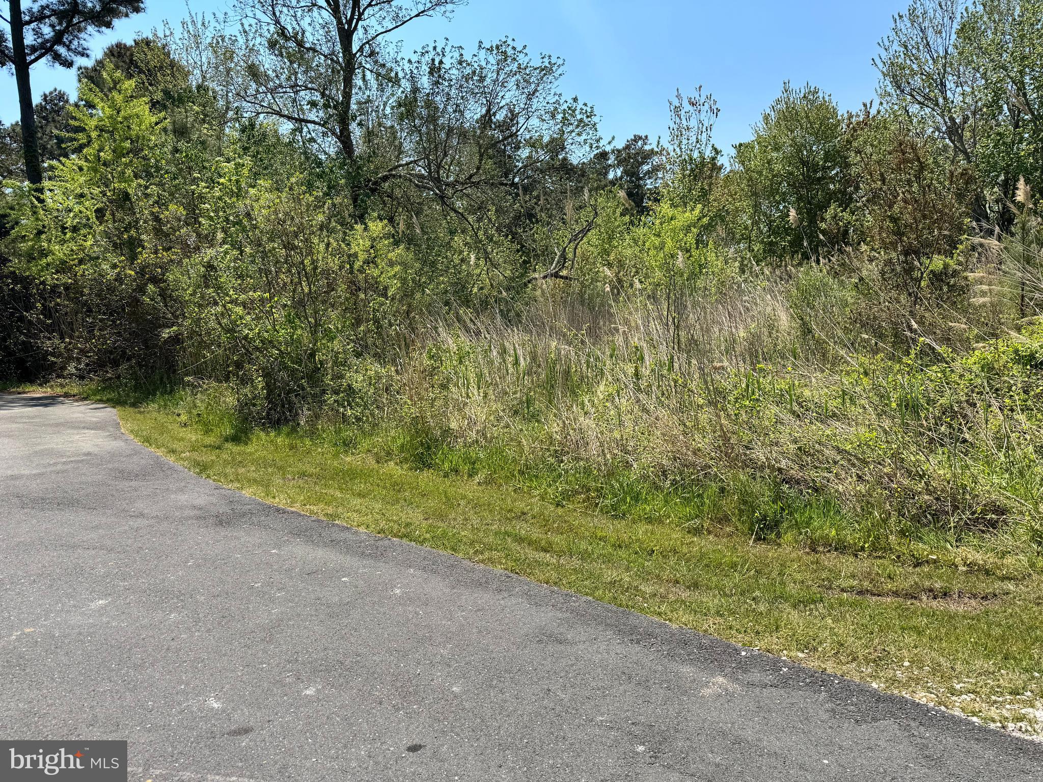 LOT 267 & 268 WILD PONY COURT