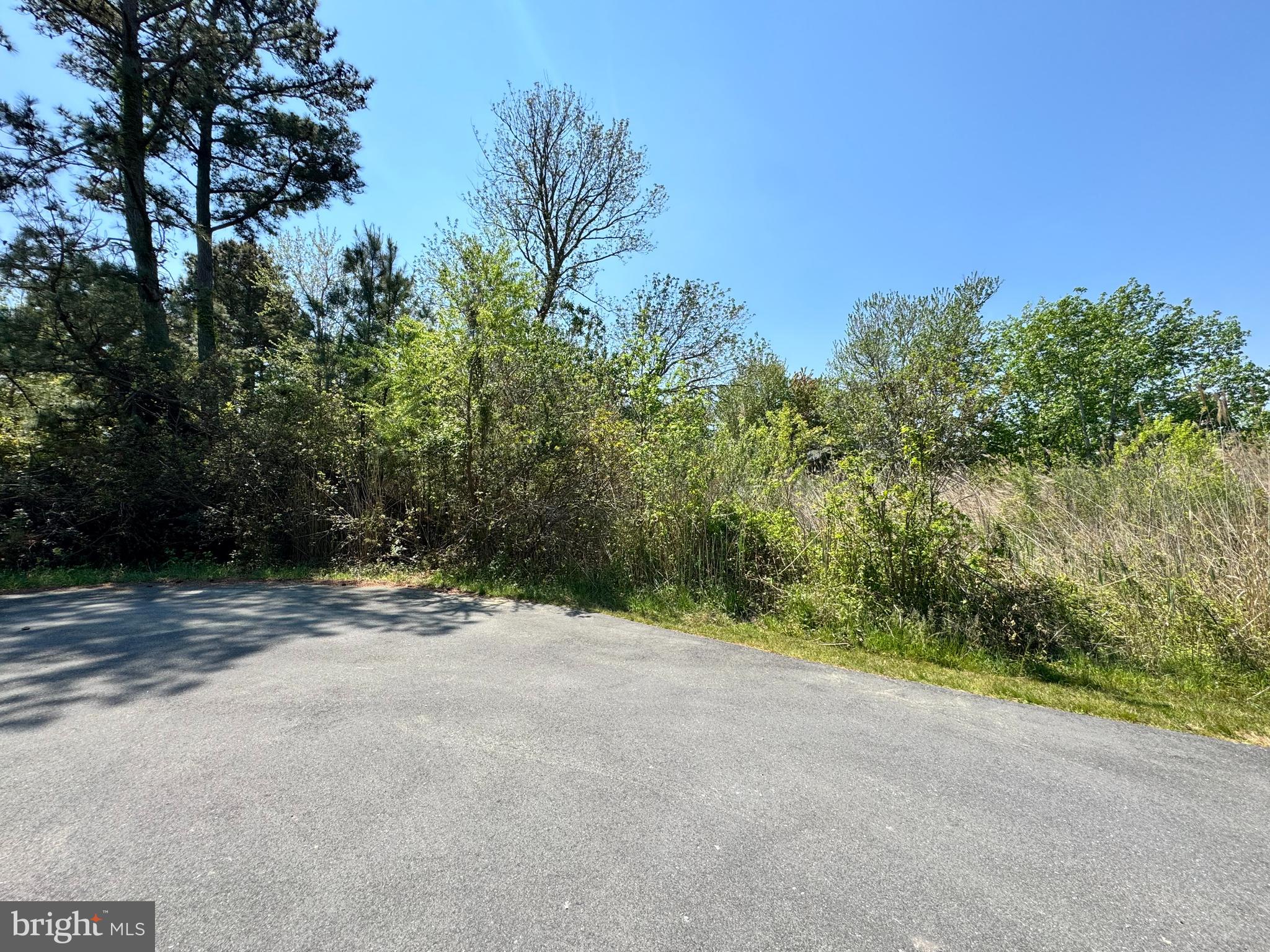 LOT 267 & 268 WILD PONY COURT