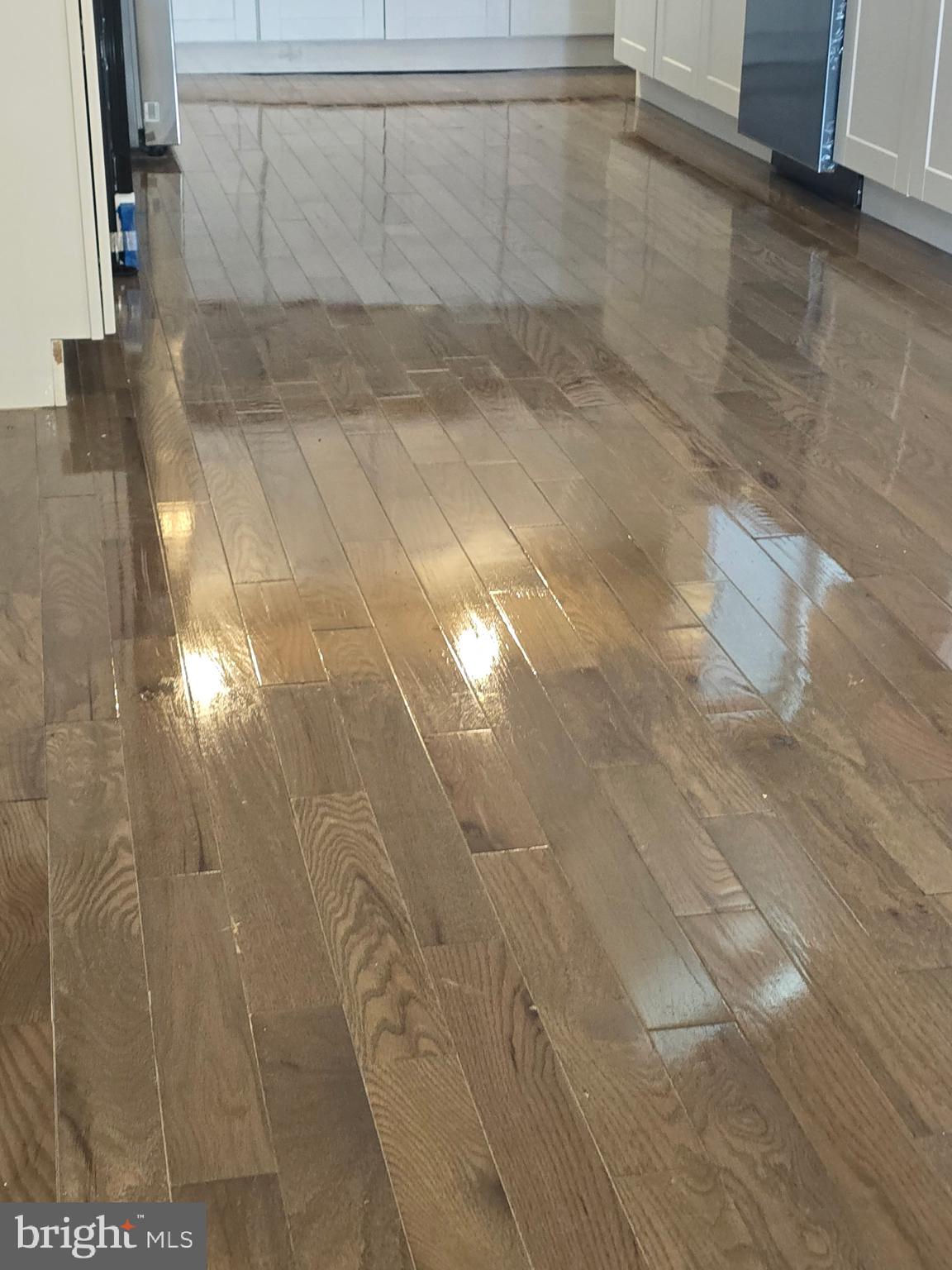 WEST OAK LANE - Residential