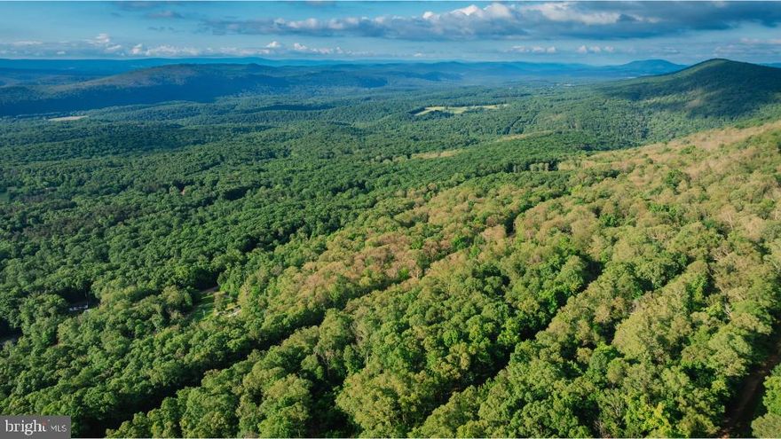 We are excited to present a beautiful acreage opportunity situated in the quaint town of Paw Paw, West Virginia. This exceptional parcel spans approximately 2.99 acres, offering an idyllic setting for both solitude and adventure.

As you approach this stunning property, you’ll notice the impressive 306 feet of road frontage along a road, where electricity availability ensures convenience right at your doorstep. The previous owner has thoughtfully cleared a section of the land, perfect for envisioning your future home setup—be it a picturesque family residence or a private retreat cabin.

Utilities such as septic and well had permits issued in 2014, simplifying the building process for the new owners (permits expired currently). This plot is not just land; it represents potential—a canvas ready for your dreams to take shape amid the peaceful landscapes of West Virginia.

Despite some natural rockiness, the terrain slopes gently upwards, granting elevational character and varied landscape features that enhance both its aesthetic and privacy. The land boasts a lush forested backdrop, teeming with native woodland and wildlife, making it a haven for nature enthusiasts or anyone longing for a serene and secluded lifestyle.

For those who value practicality, the condition of the road in the final stretches to the property remains unimproved but passable, ensuring that this hidden gem retains its secluded feel while still being accessible. Nearby homes hint at a community feel, should you desire neighborly interaction or assistance.

Whether you’re looking to escape the city’s bustle regularly or plan to build your forever home surrounded by natural beauty, this property in Paw Paw offers that rare blend of accessibility, privacy, and scenic beauty. Don’t miss the opportunity to own a piece of West Virginia’s cherished wilderness. Welcome to your new sanctuary—the perfect place to create, explore, and live your narrative amidst the tranquility of nature.