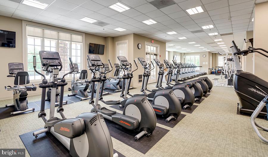 BULLE ROCK - Residential