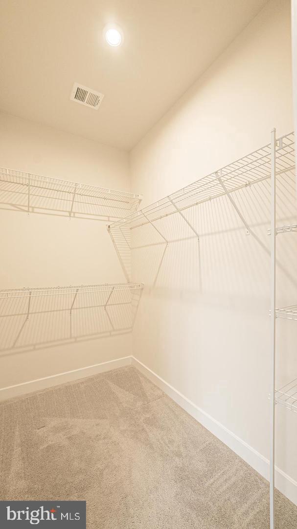 BLACKBURN - Residential Lease