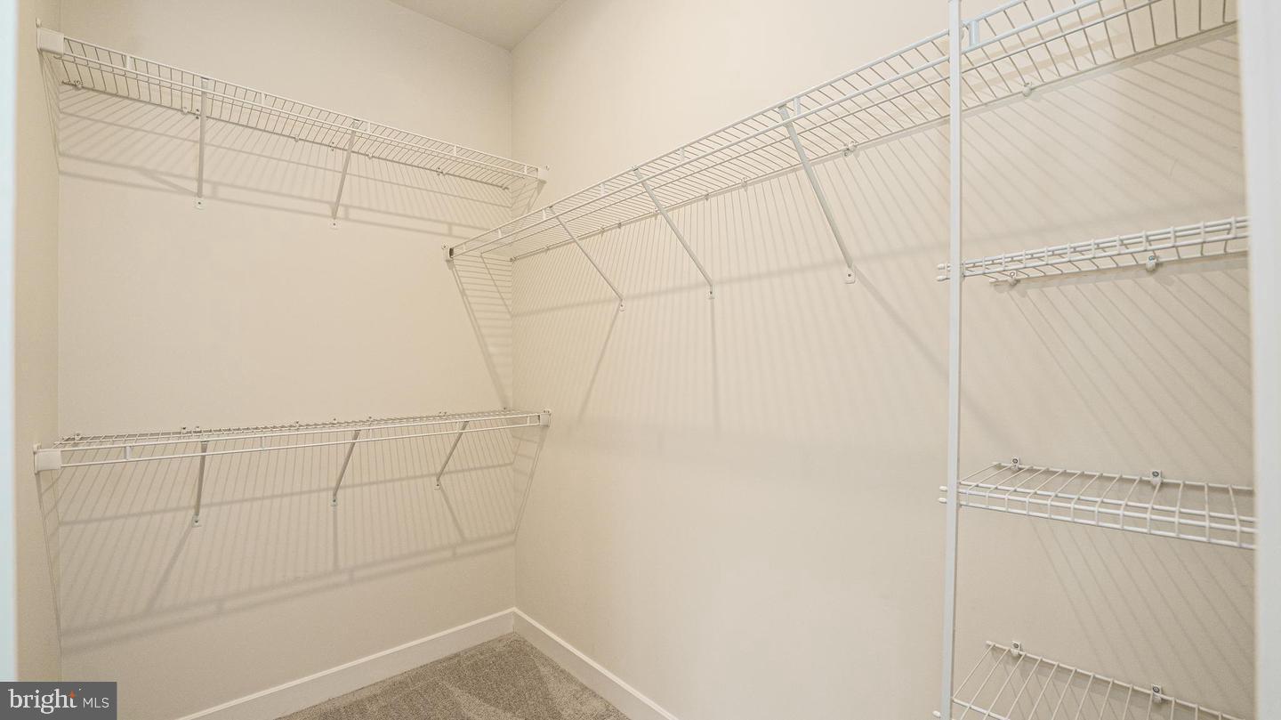 BLACKBURN - Residential Lease