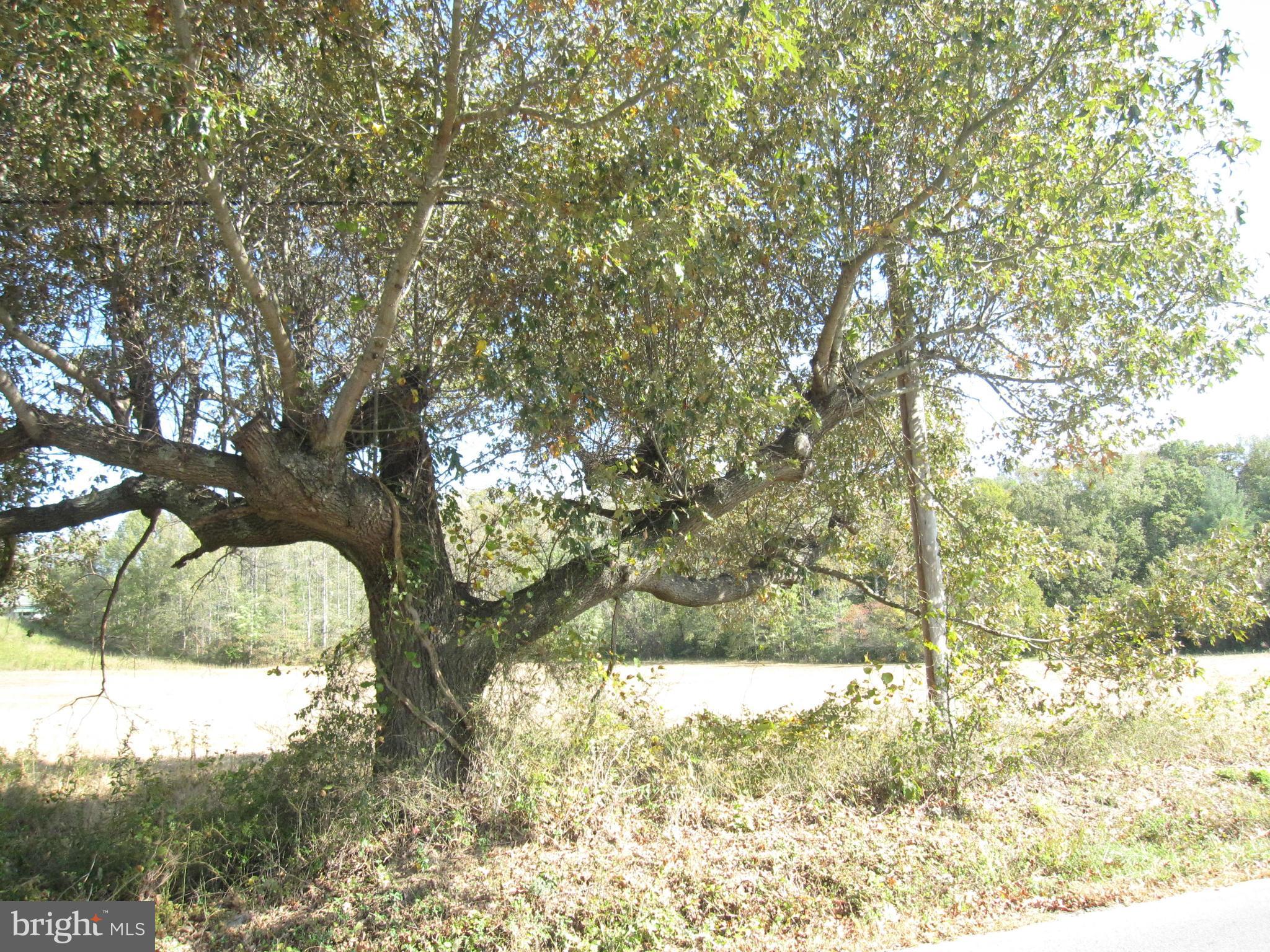 NONE AVAILABLE - Land