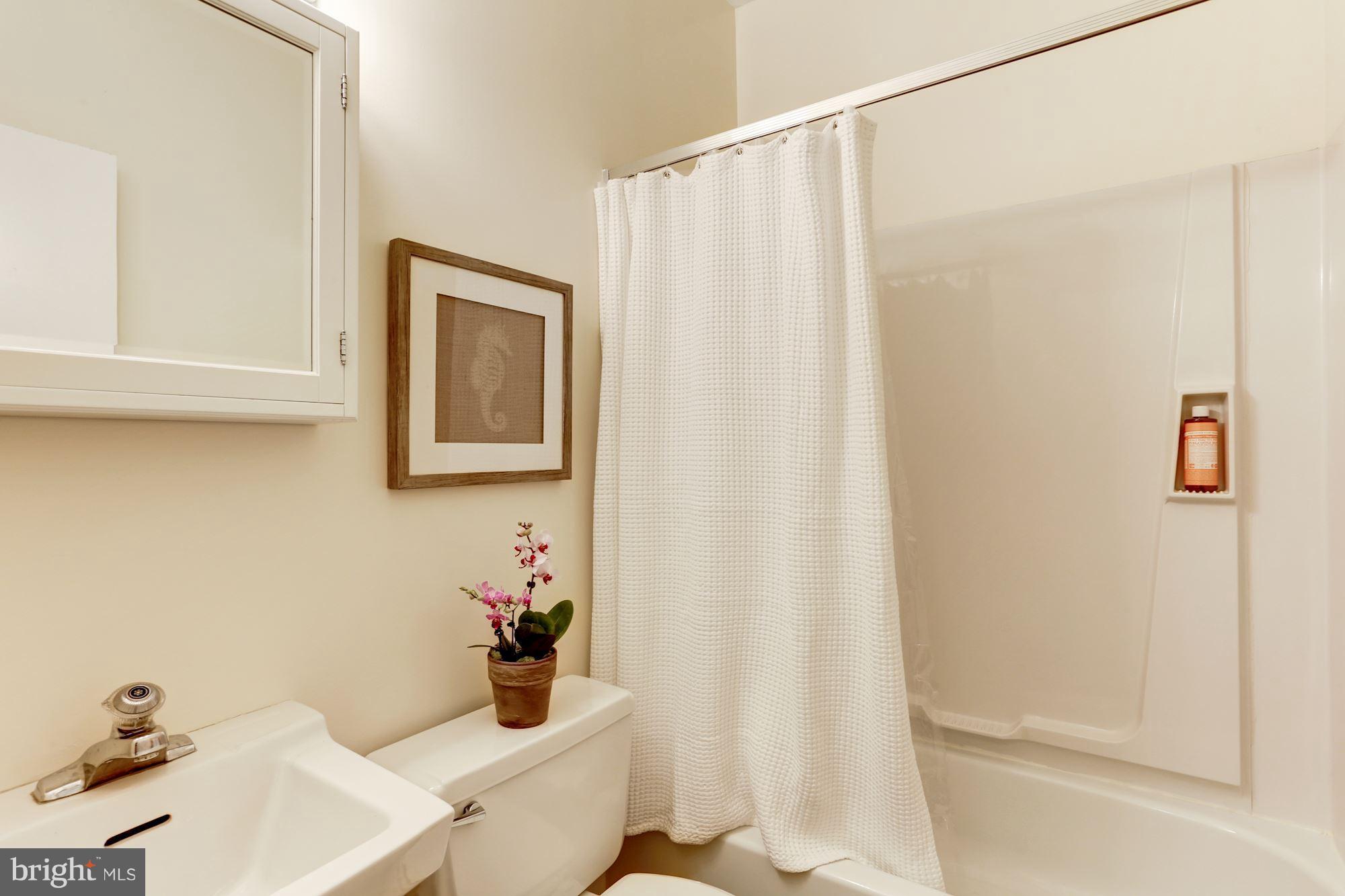 VIRGINIA VILLAGE - Residential