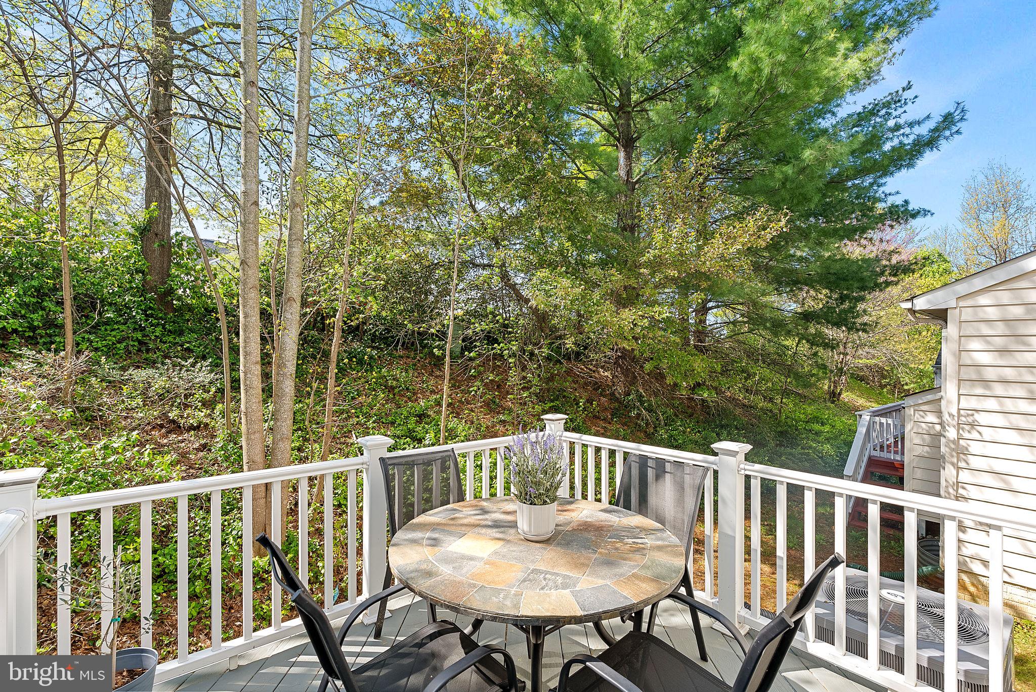 LORTON TOWN CENTER - Residential