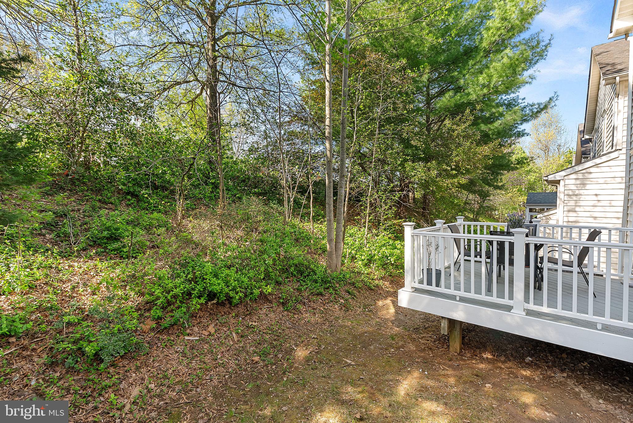 LORTON TOWN CENTER - Residential