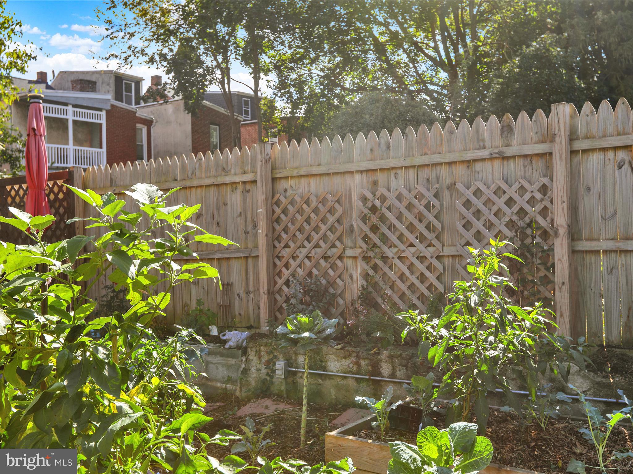 CABBAGE HILL - Residential