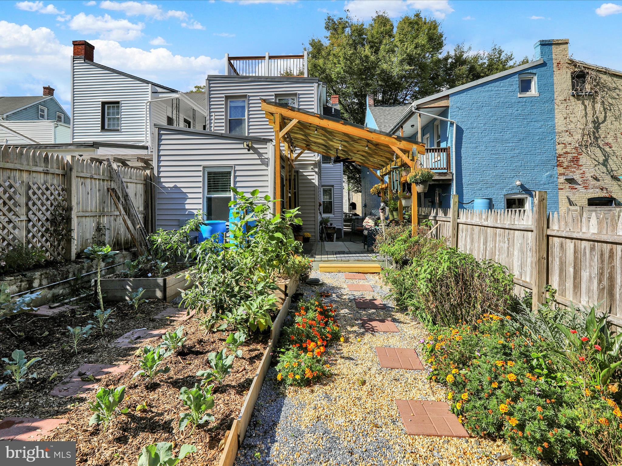 CABBAGE HILL - Residential