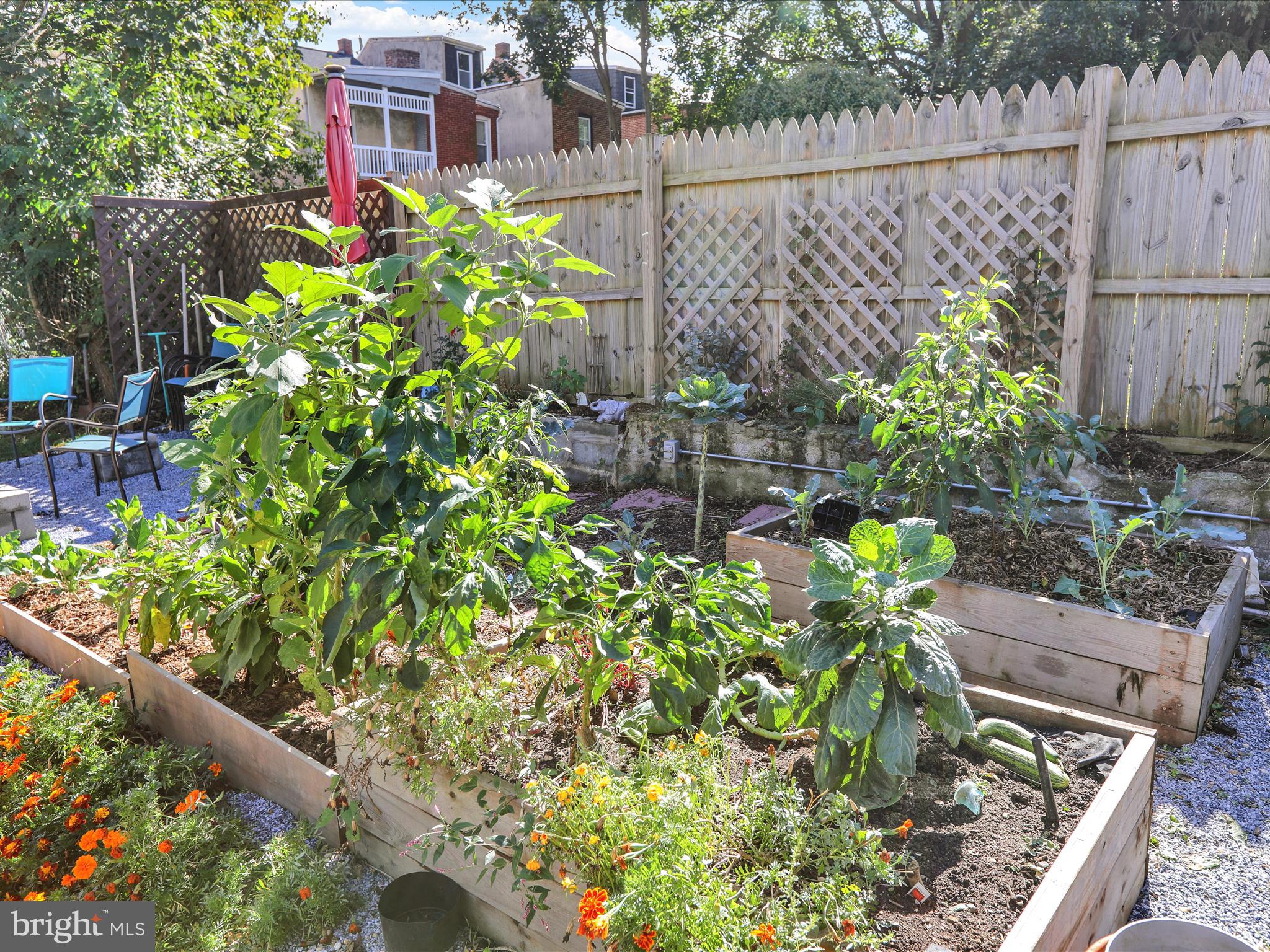 CABBAGE HILL - Residential