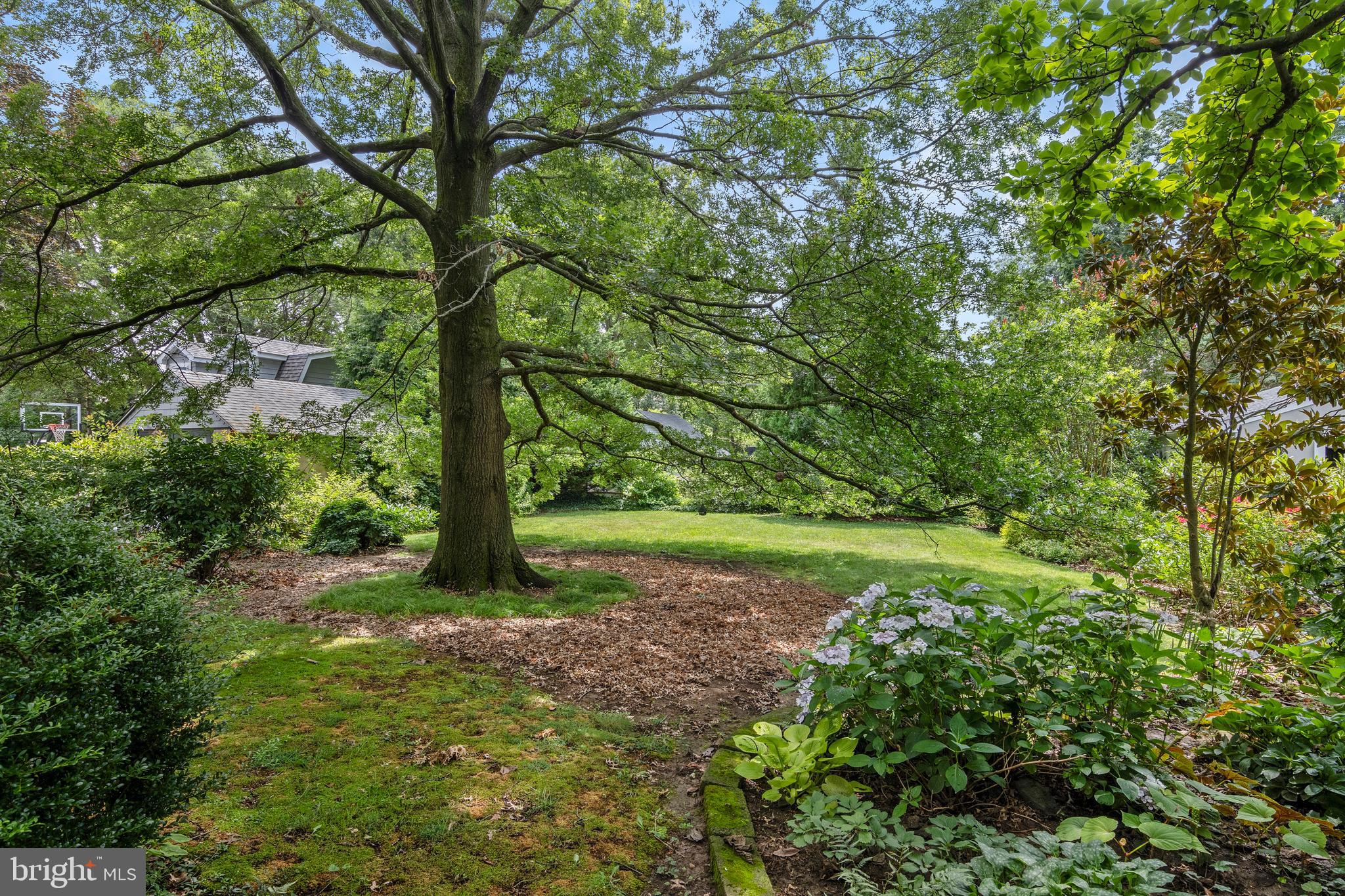 SOUTH WAYNE - Residential