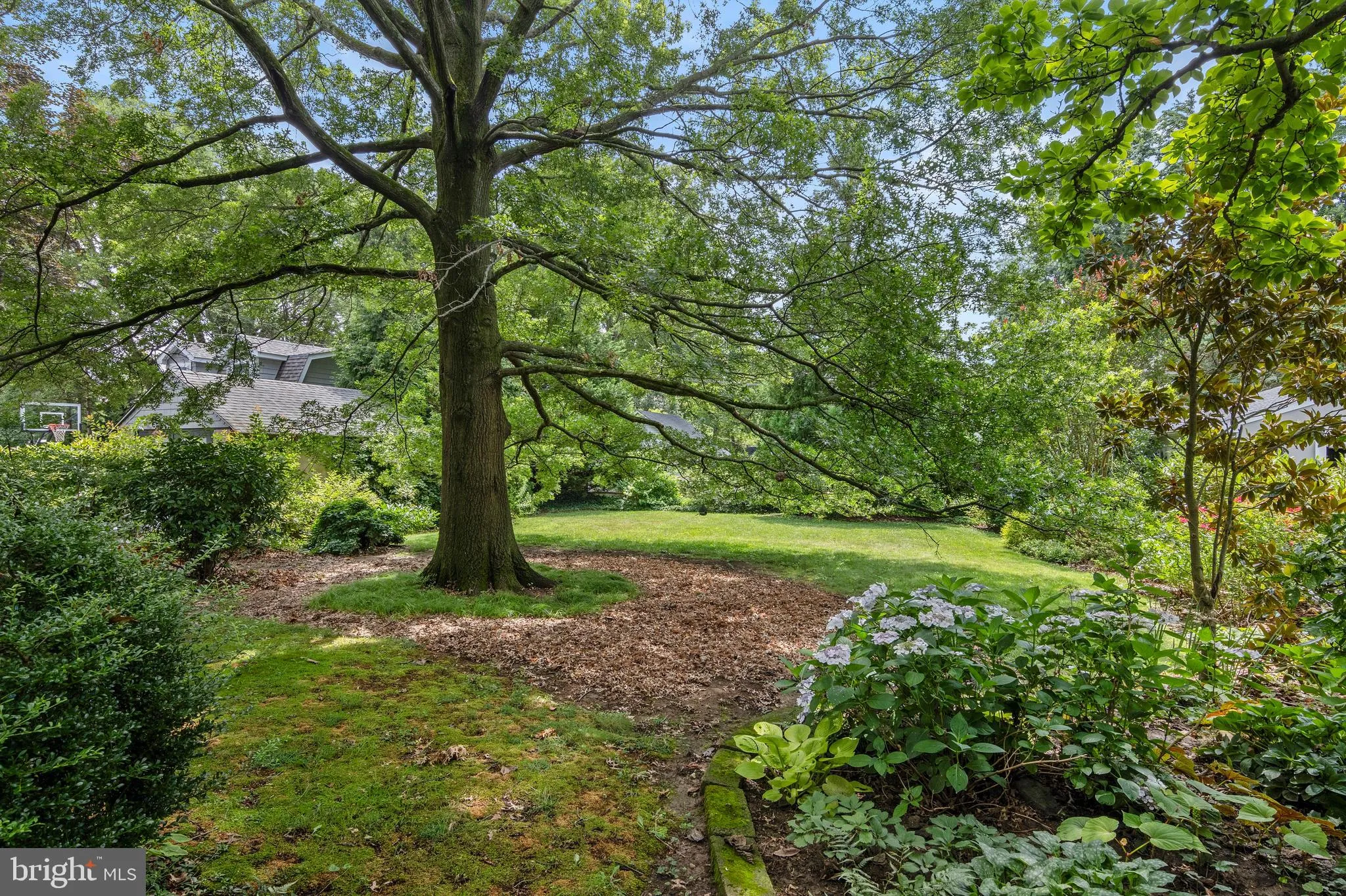 Wayne, Pennsylvania 19087, United States, 6 Bedrooms Bedrooms, ,3 BathroomsBathrooms,Residential,Coming Soon,175071