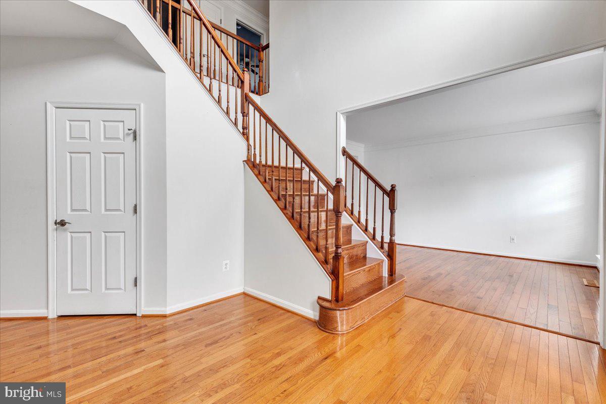 SARATOGA HUNT - Residential Lease