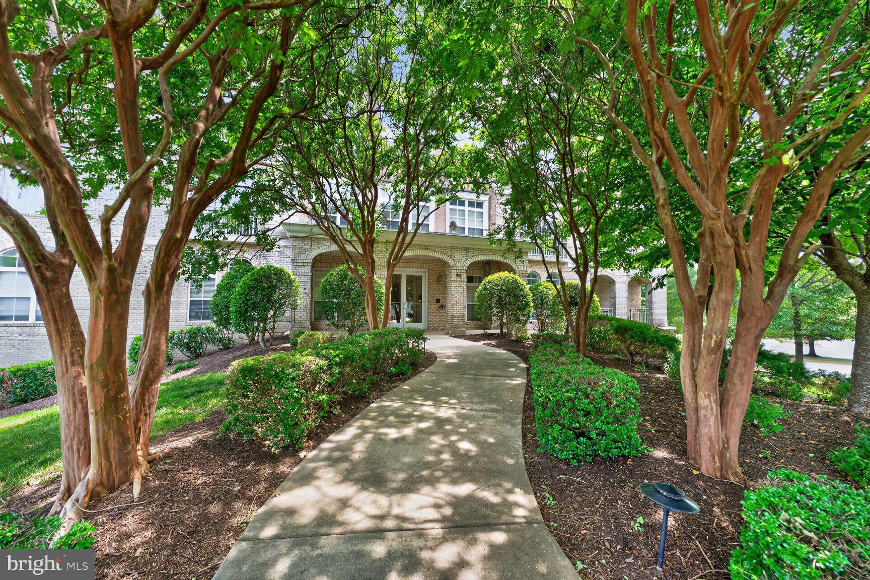 810 BELMONT BAY DRIVE 204
