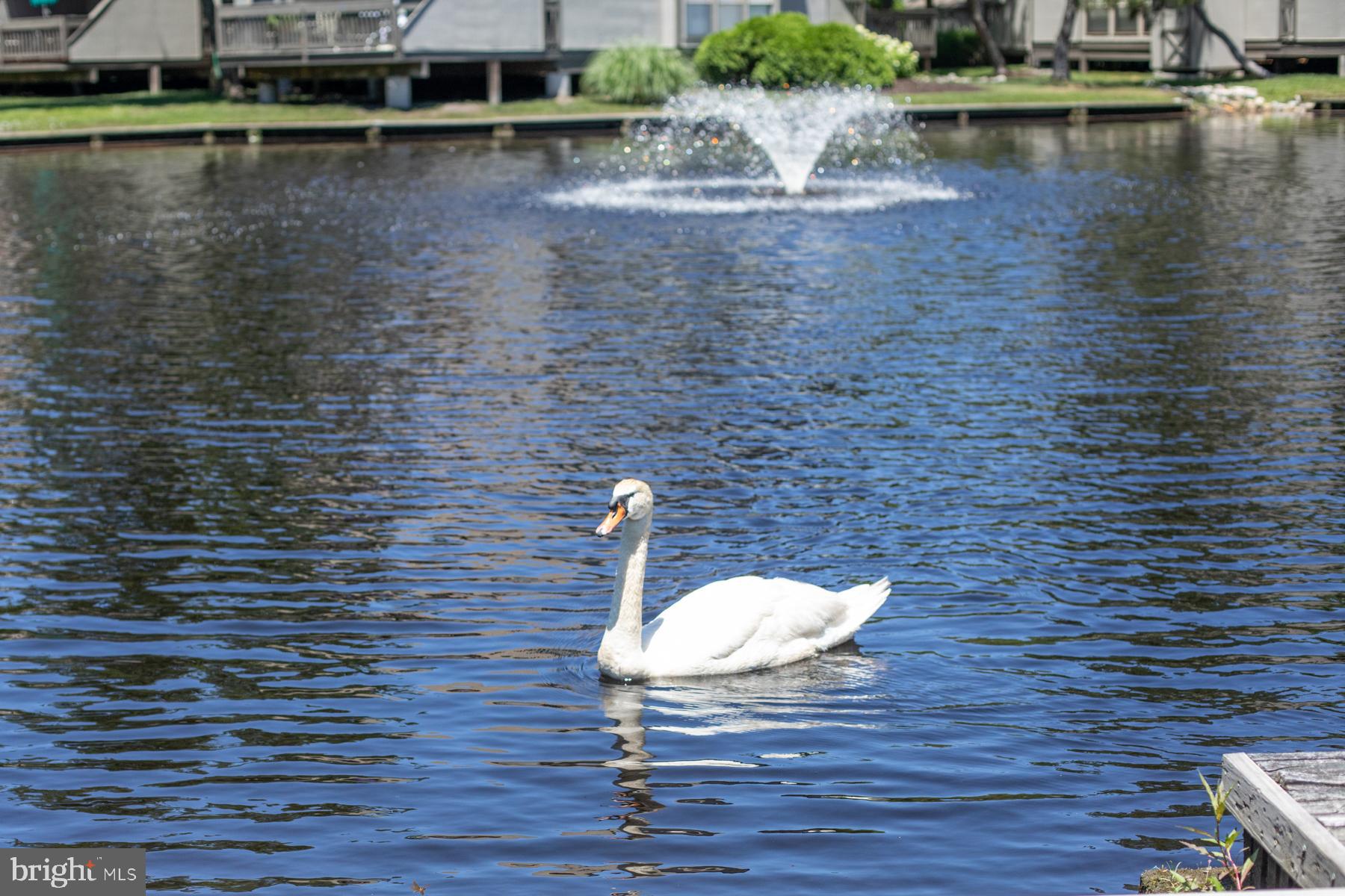 SEA COLONY WEST - Residential