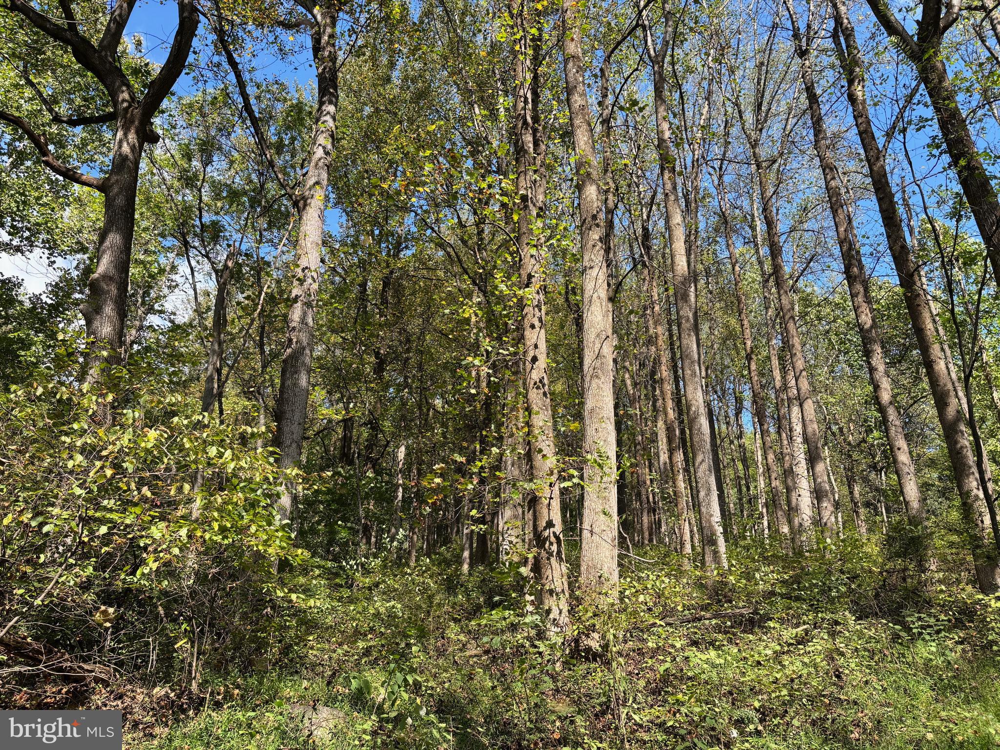 NONE AVAILABLE - Land