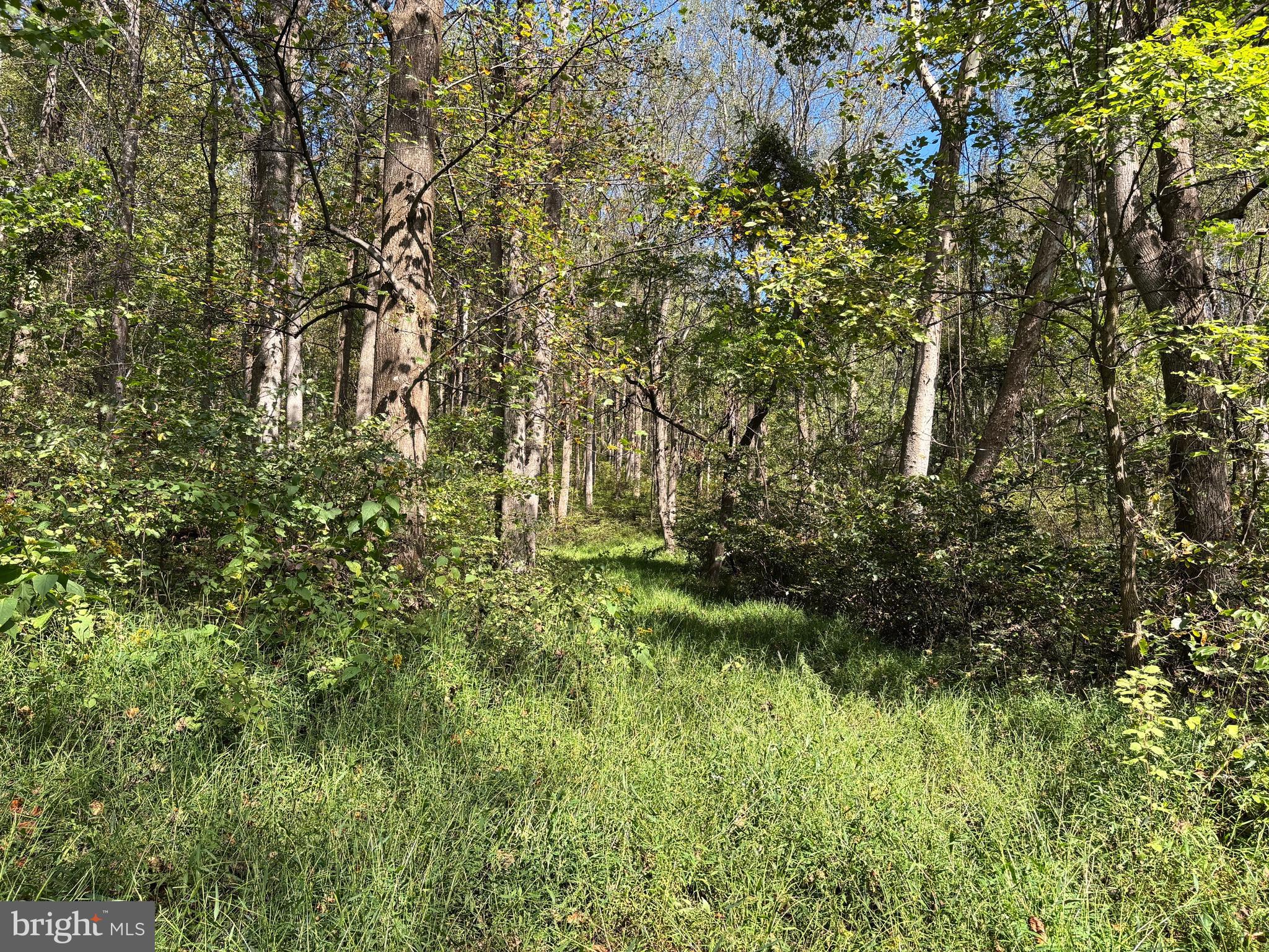 0 HARRIS HOLLOW ROAD