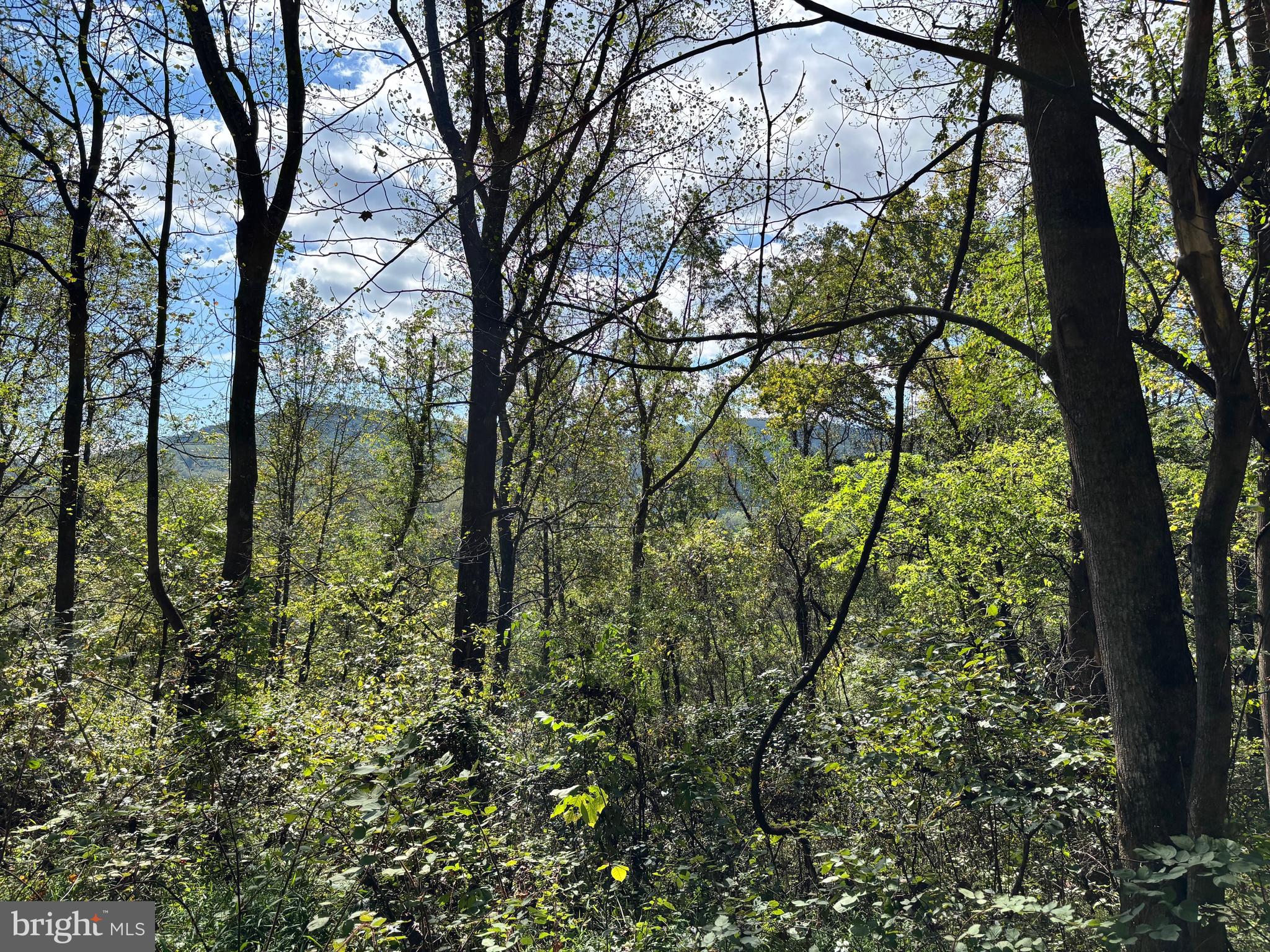0 HARRIS HOLLOW ROAD