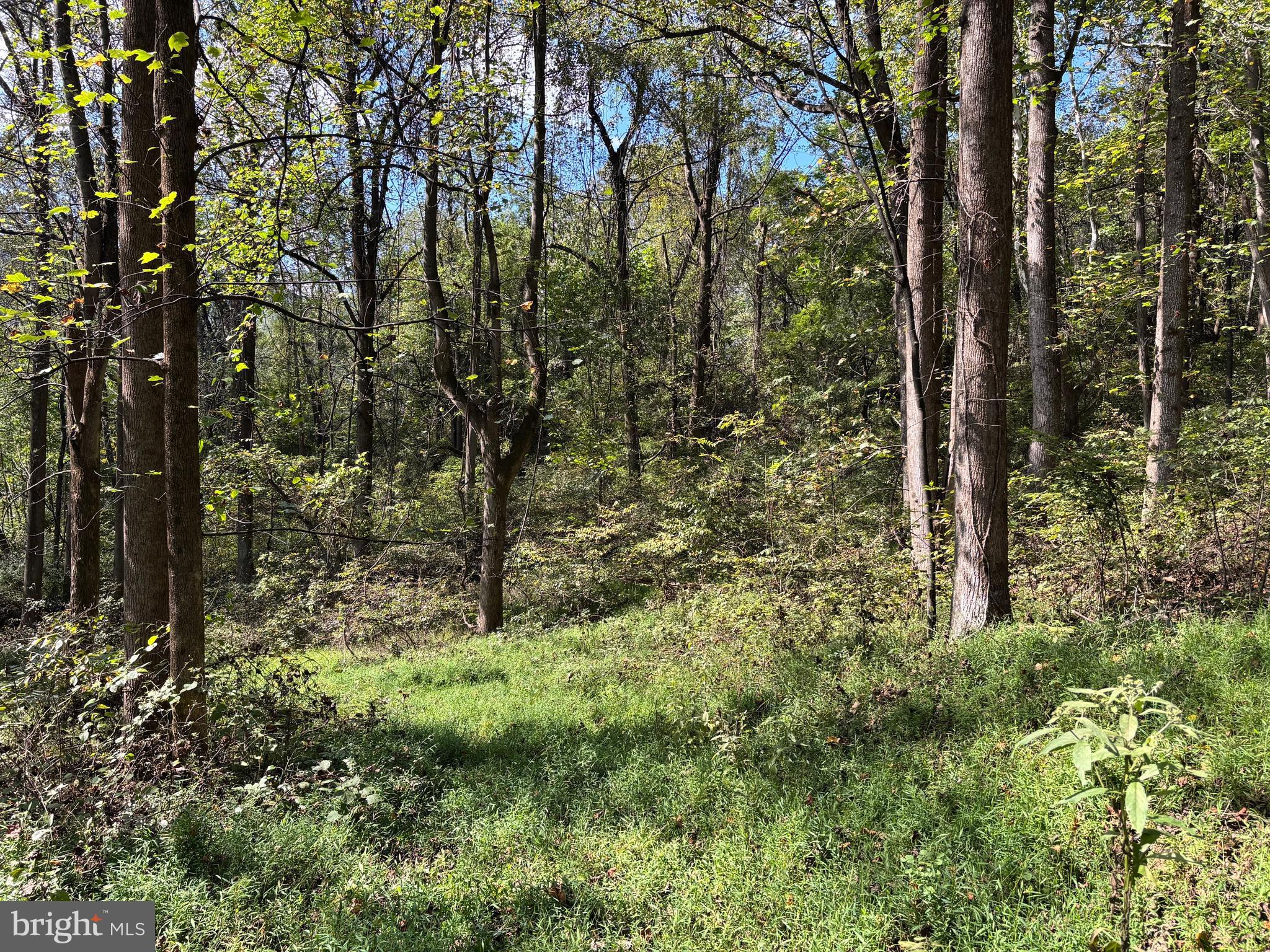 0 HARRIS HOLLOW ROAD