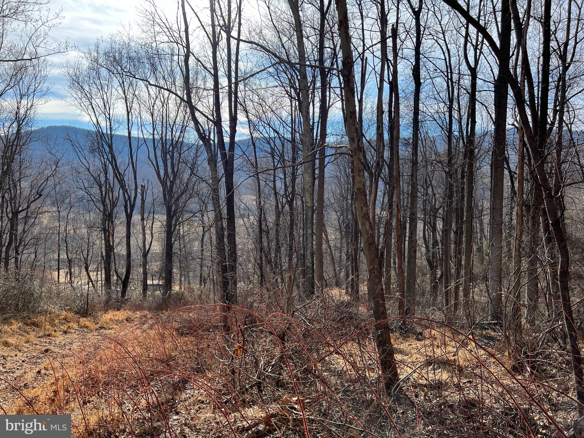 NONE AVAILABLE - Land