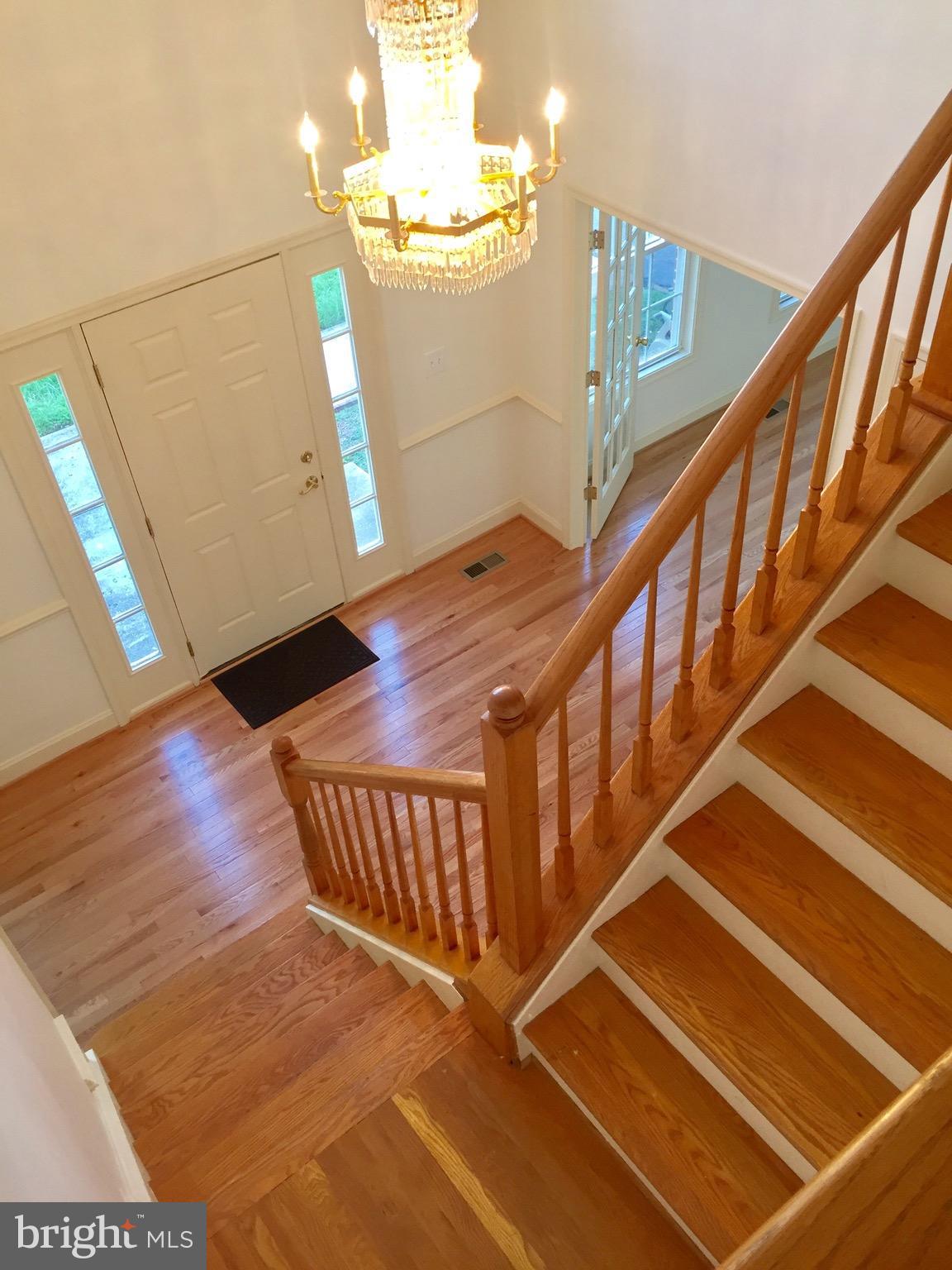 THE FOREST AT HUNTERS MI - Residential