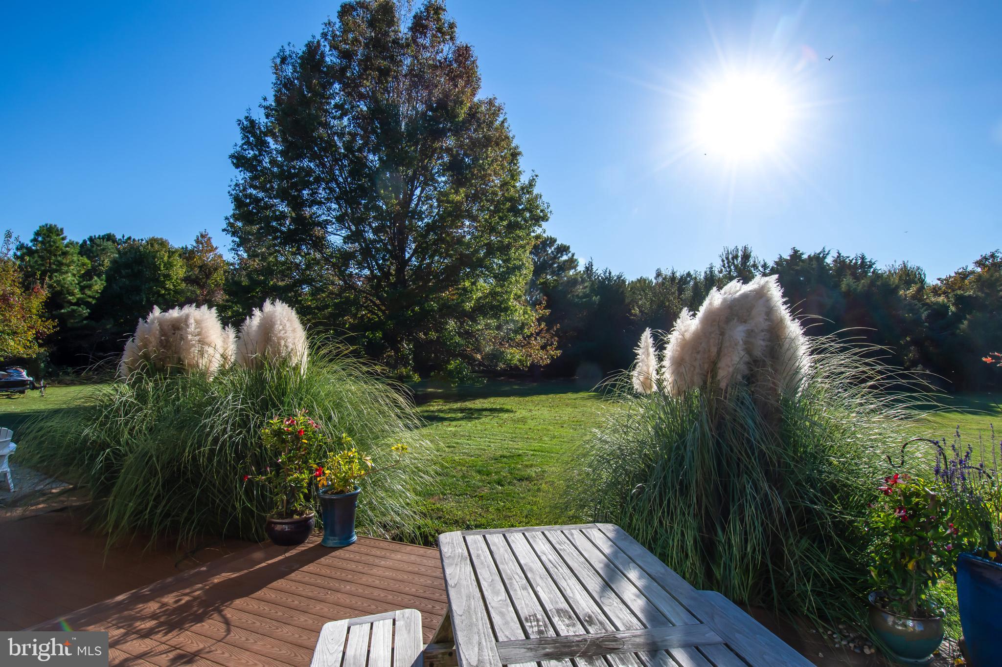 CHEWS MANOR - Residential