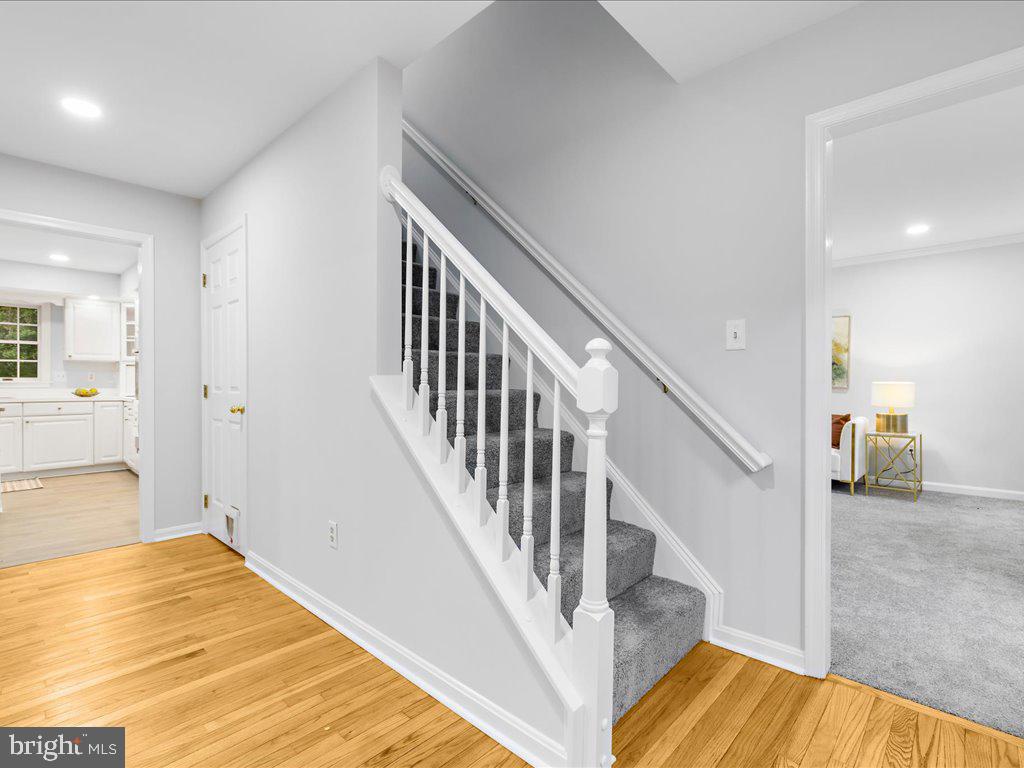 SHIPLEYS CHOICE - Residential