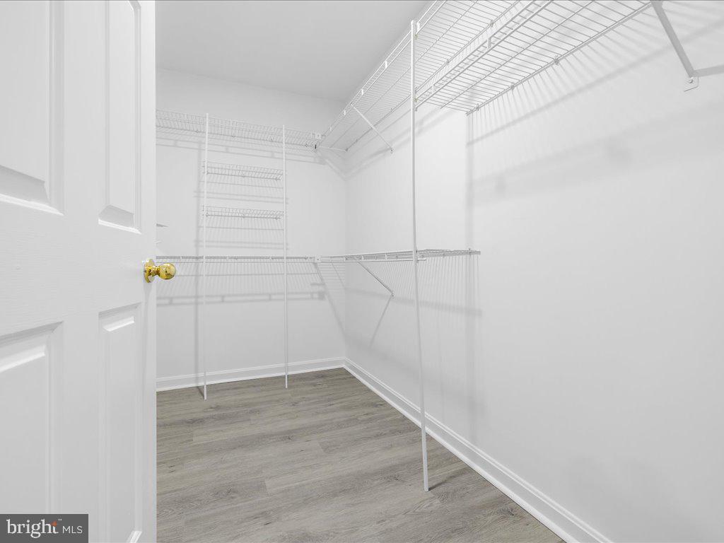 SHIPLEYS CHOICE - Residential