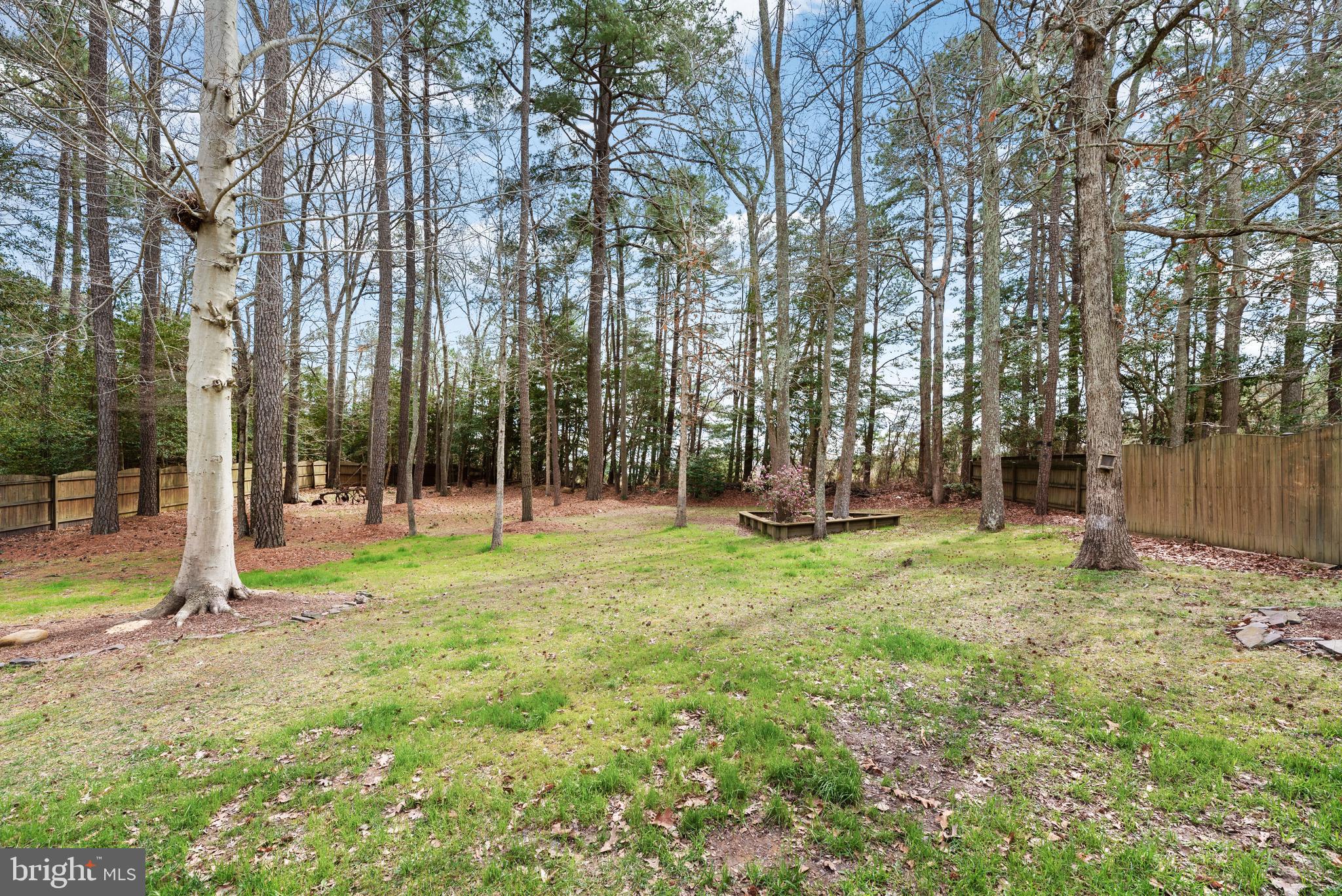 WILLOW WOODS - Residential