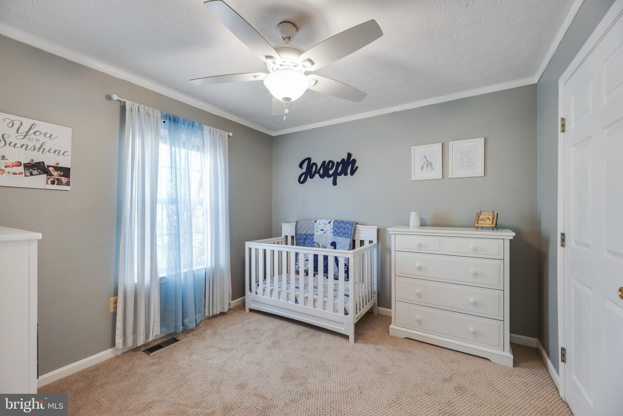 WILLOW WOODS - Residential