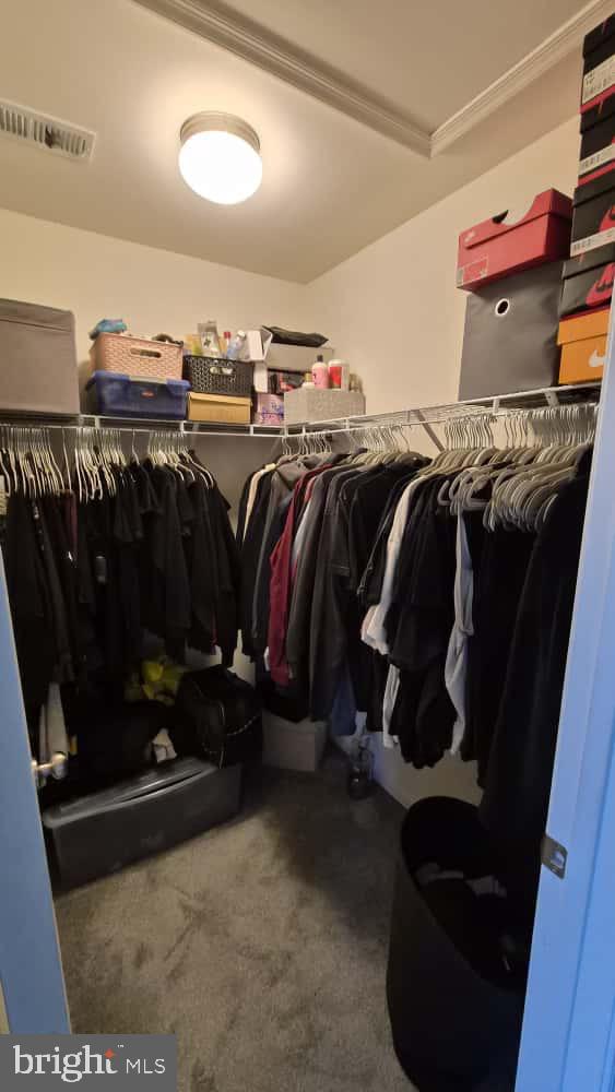 DORCHESTER - Residential