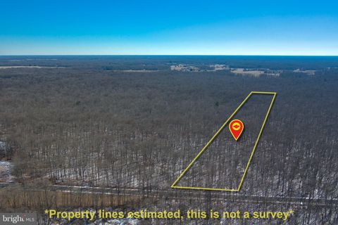0 BEAR POND ROAD MARYDEL MD 21649