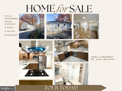 13932 A PROSPECT ROAD MOUNT AIRY MD 21771