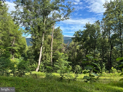 Vacant Land For Sale - 118 Lexington Court<br/> STANARDSVILLE, VA 22973