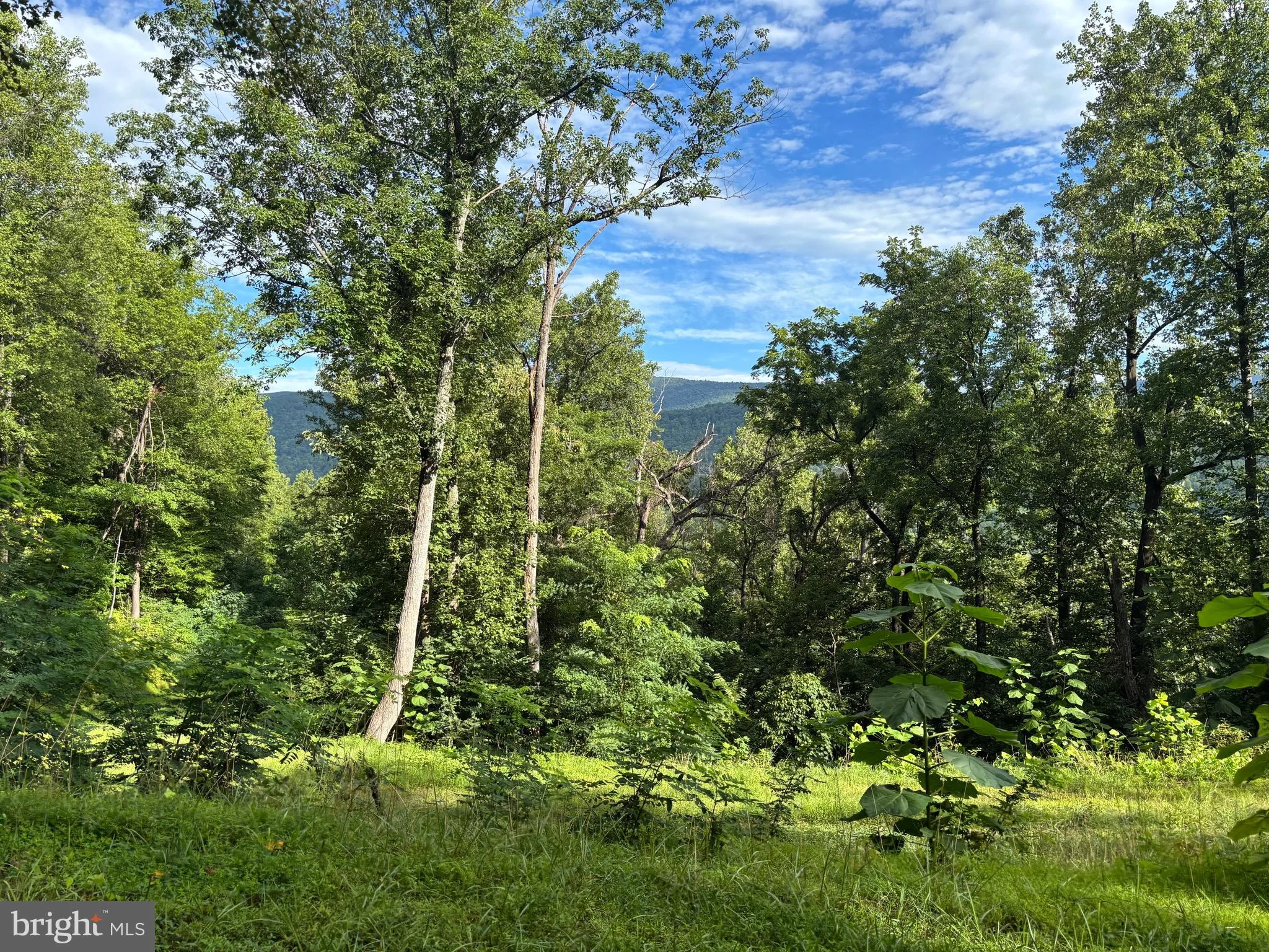 118 Lexington Court, Stanardsville, VA, 22973