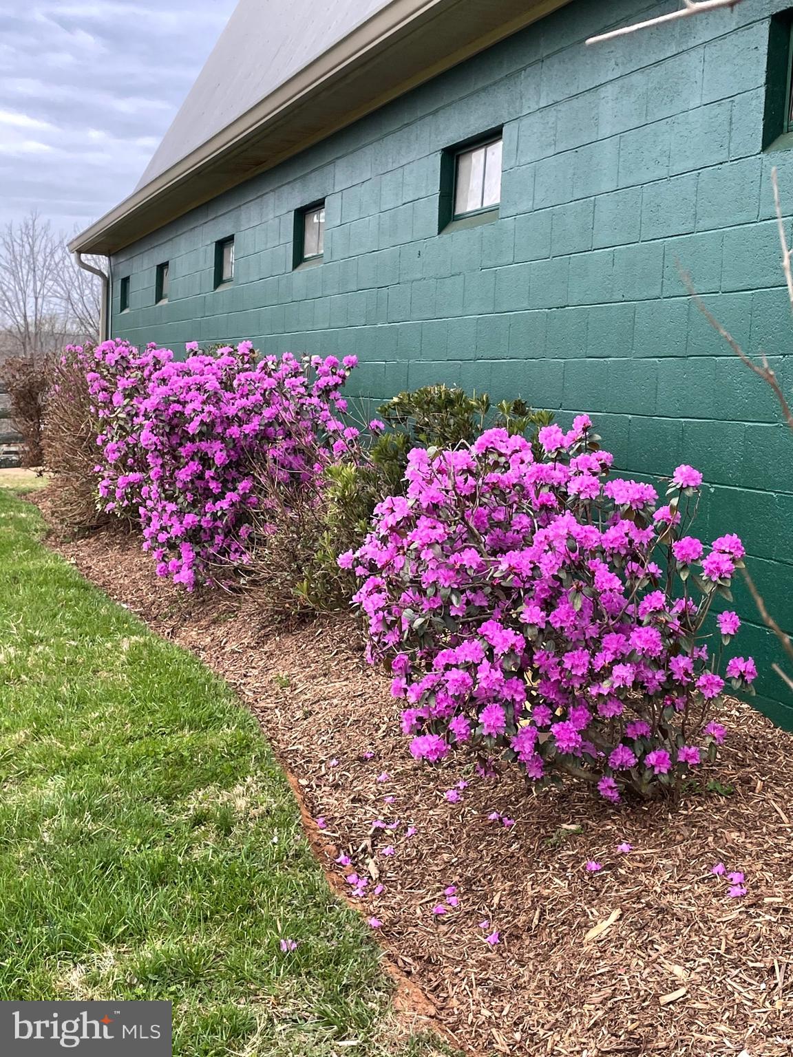 RED CEDAR - Residential
